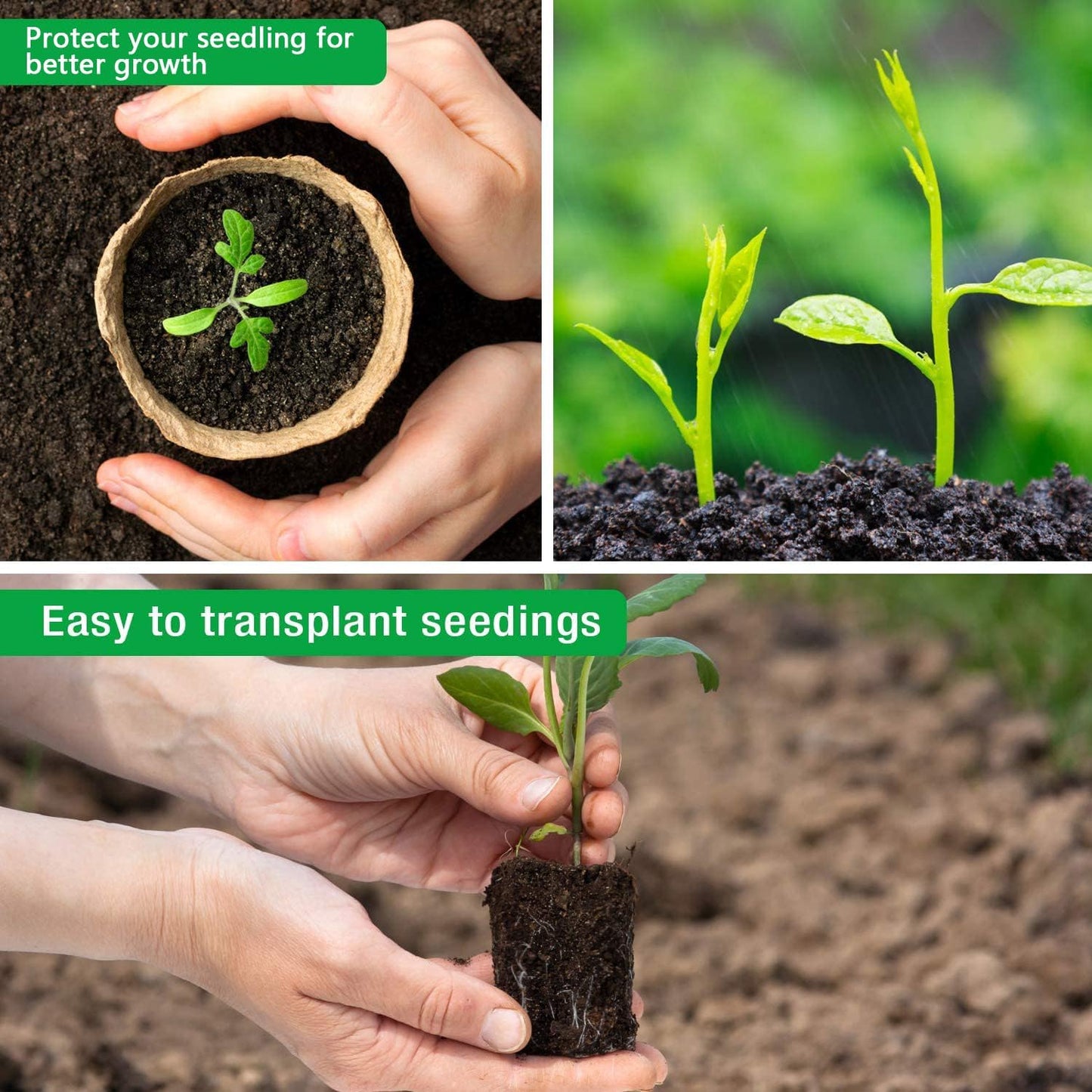 homenote Peat Pots, 60 Pcs 3.15 Inch Seed Starting Pots with Drainage 