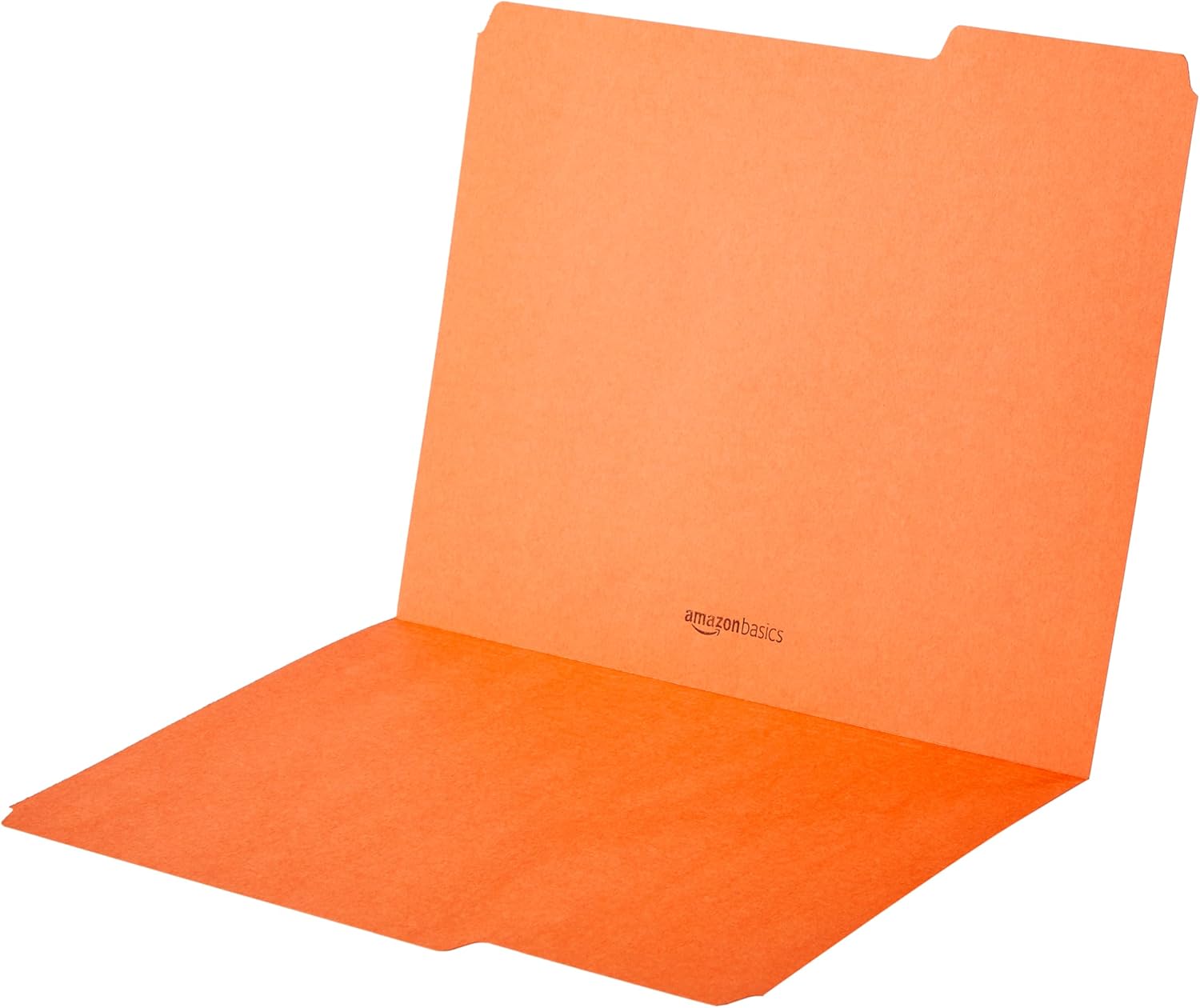 Amazon Basics Sturdy File Folders with Tabs for Filing and Organizatio