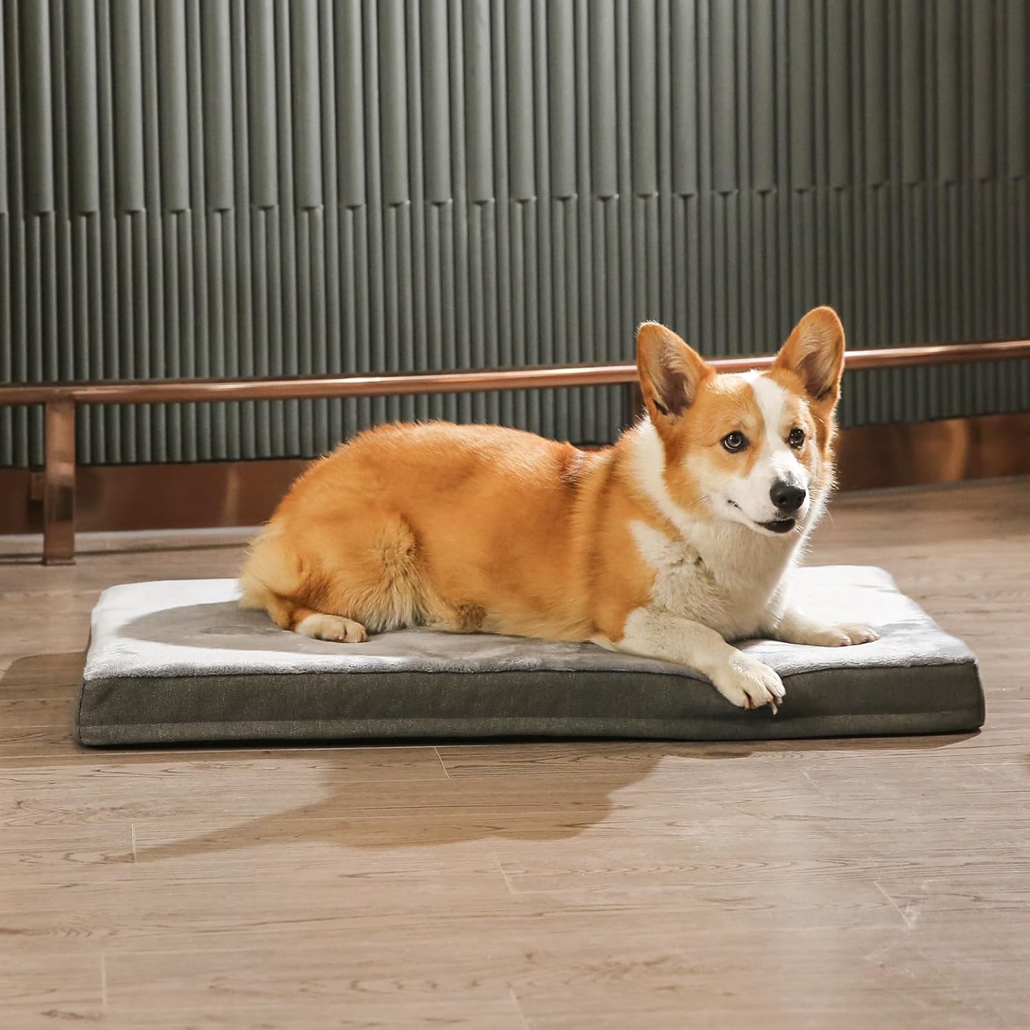 Amazon Basics Dog Bed with Cooling Gel Memory Foam, Machine Washable R