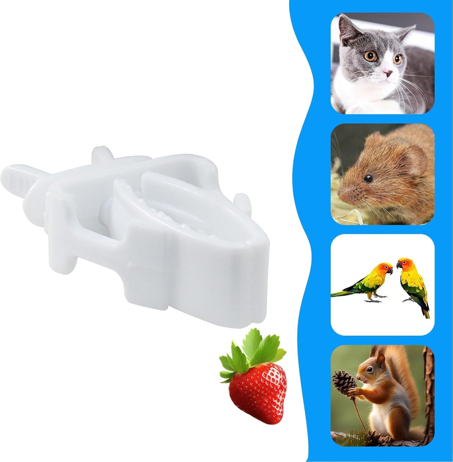 Zorfeter 6 Pack Bird Cage Food Holder, Fruit Clip Vegetable Clip Feeder Clip, Parrot Cage Clip for Budgie Parakeet Cockatoo Macaw Cockatiel Conure/Other Small Animals