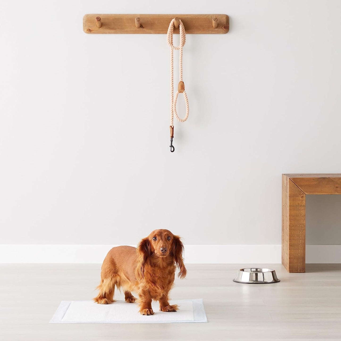 Amazon Basics Leak-Proof Dog and Puppy Potty Training Pee Pads with Qu