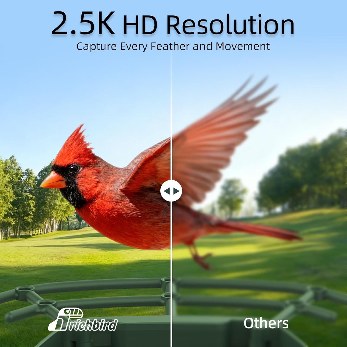 Smart Bird Feeder with 4MP HD Camera, Birdwatching Camera with Free AI