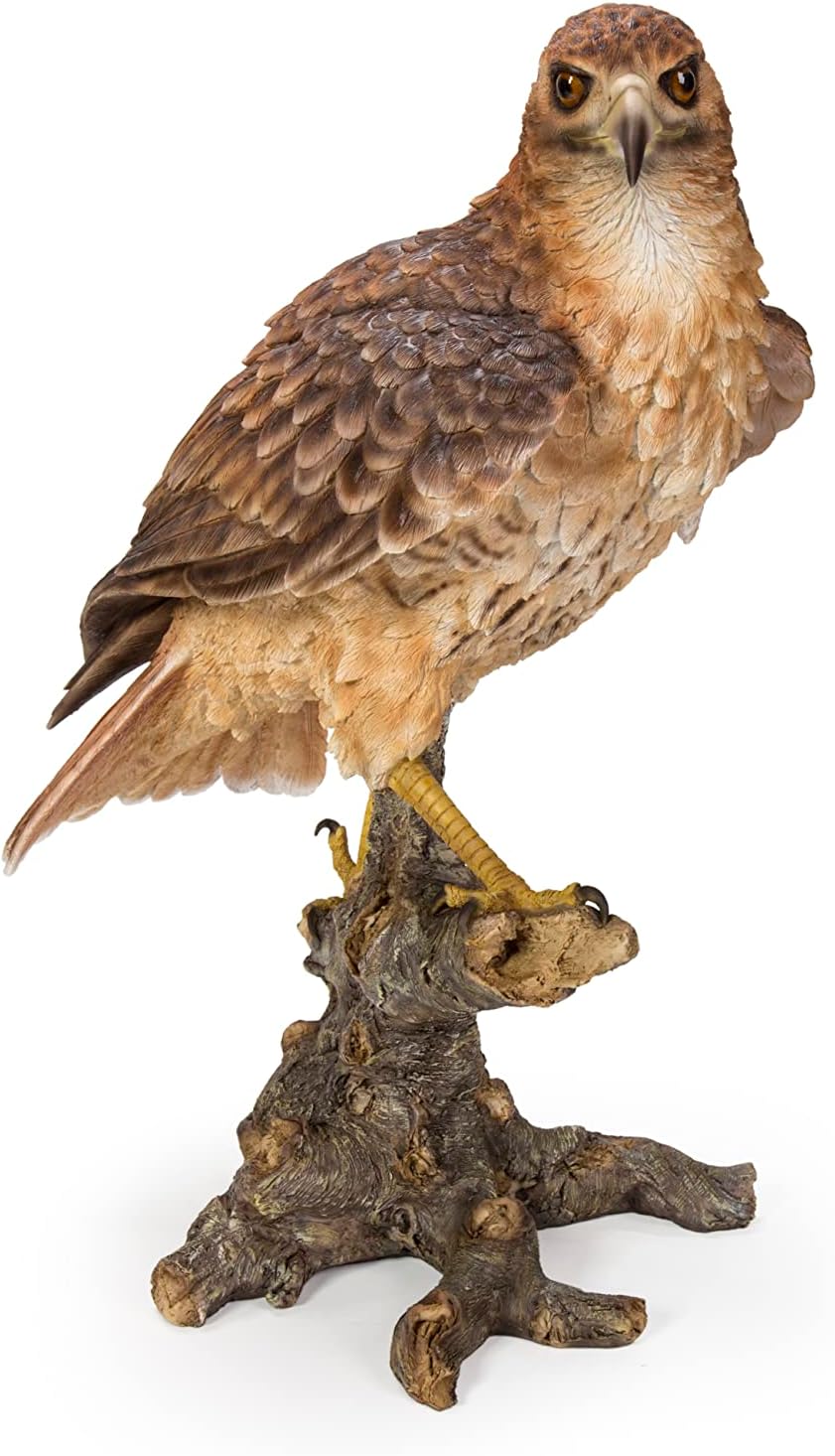 Hi-Line Gift Ltd Wild Hawk Standing on Branch Garden Statue
