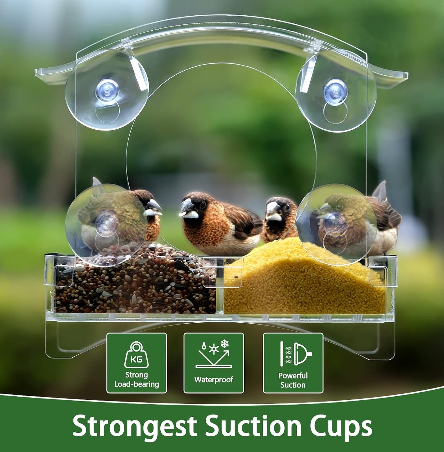 Window Bird Feeder with Strong Suction Cups - Transparent Bird House for Cat, Kids & Elderly Viewing - Polyurethane