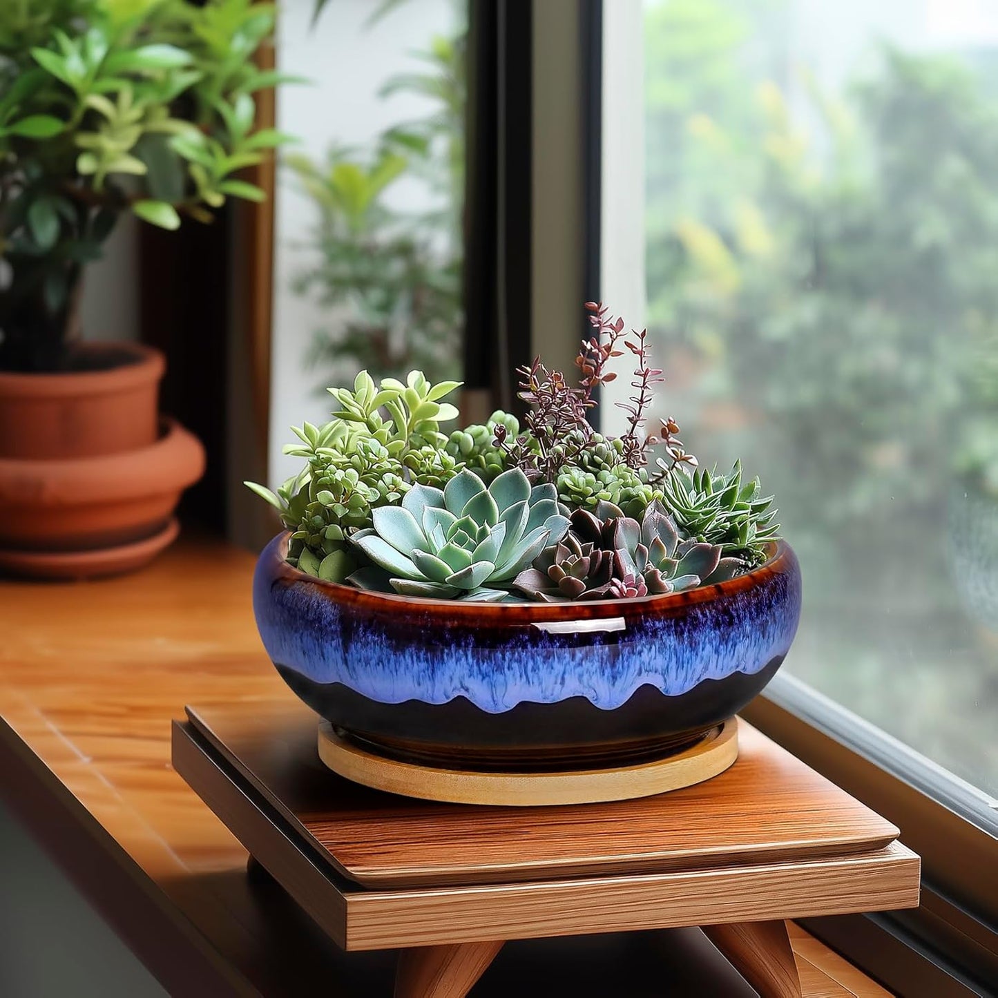 SQOWL 7 Inch Round Ceramic Succulent Planter Pot Drip Glazed Shallow P