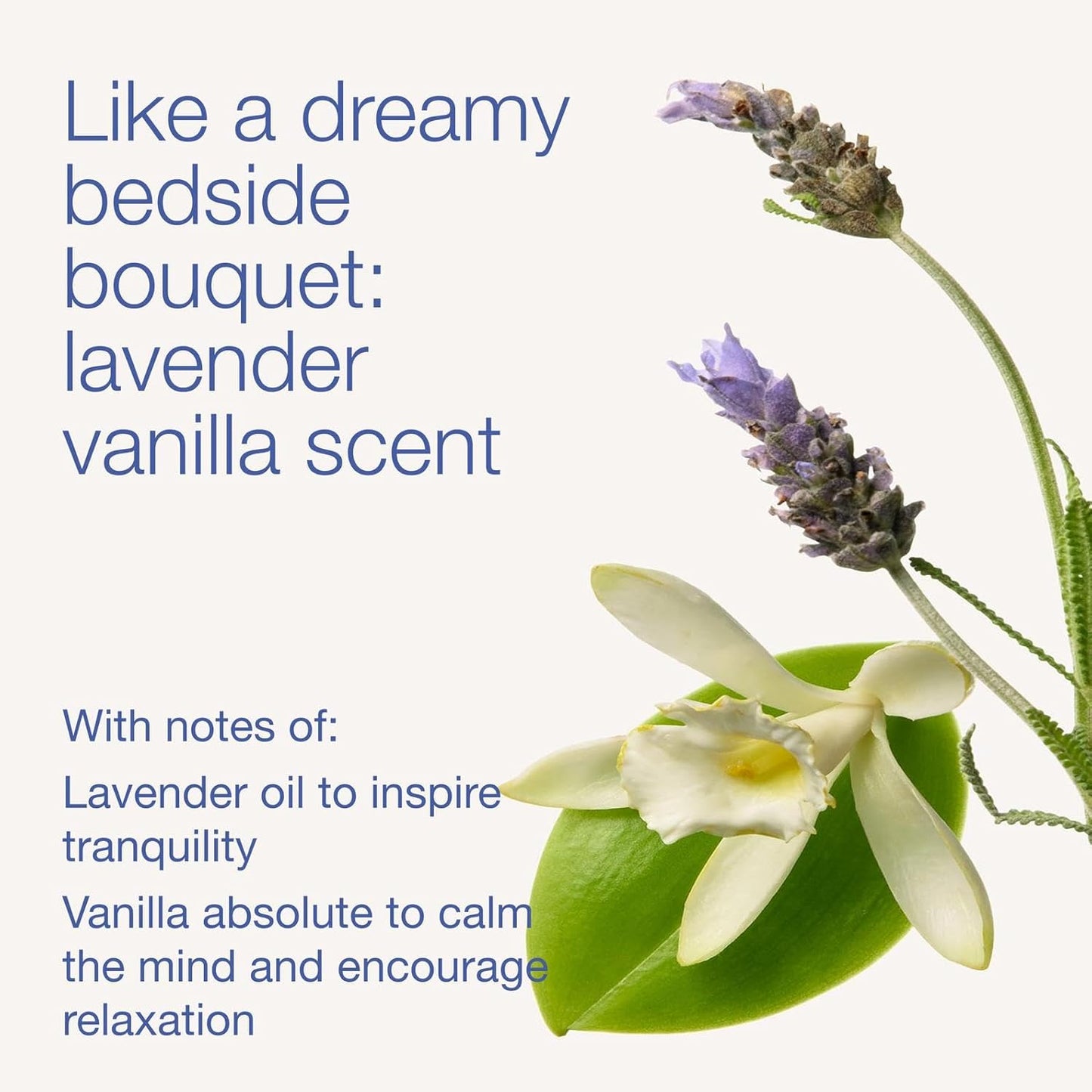 Bath & Body Works Lavender Vanilla Body Wash & Foam Bath, Aromatherapy