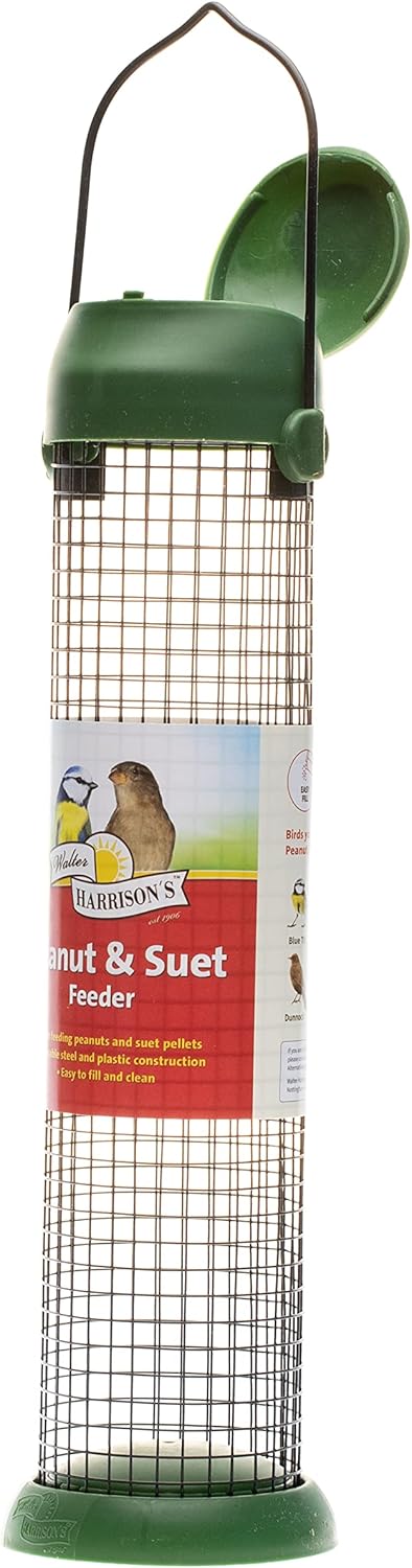 Walter Harrison's Wild Bird Flip Top Green Hanging Peanut Feeder - Lar