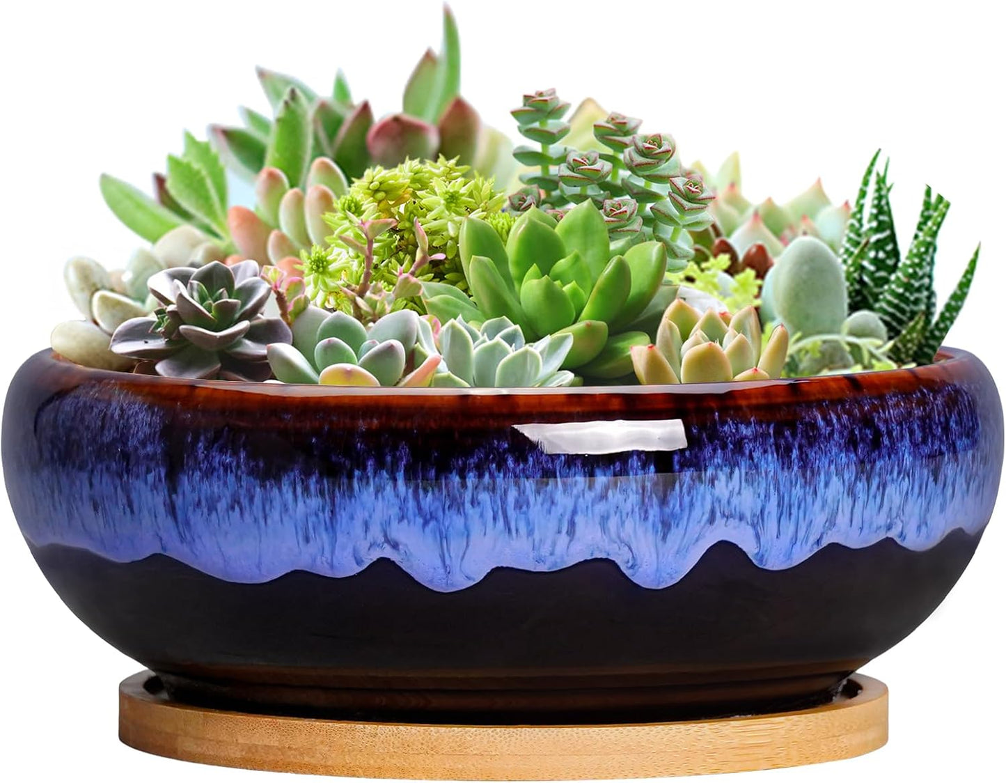 SQOWL 7 Inch Round Ceramic Succulent Planter Pot Drip Glazed Shallow P