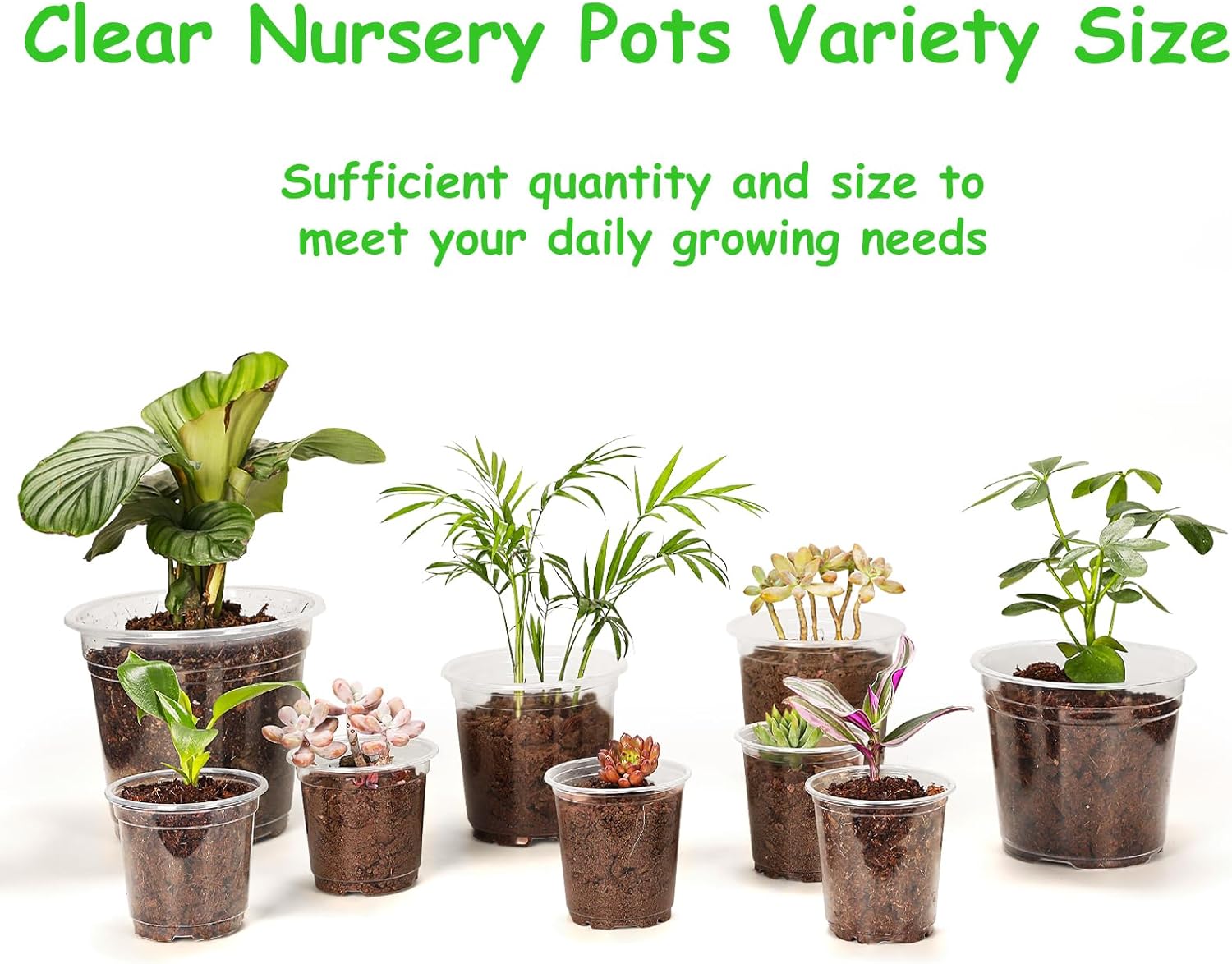 30 Pack 3.5/4/5/6/7 Inch Clear Nursery Pots with Drainage Holes, Trans