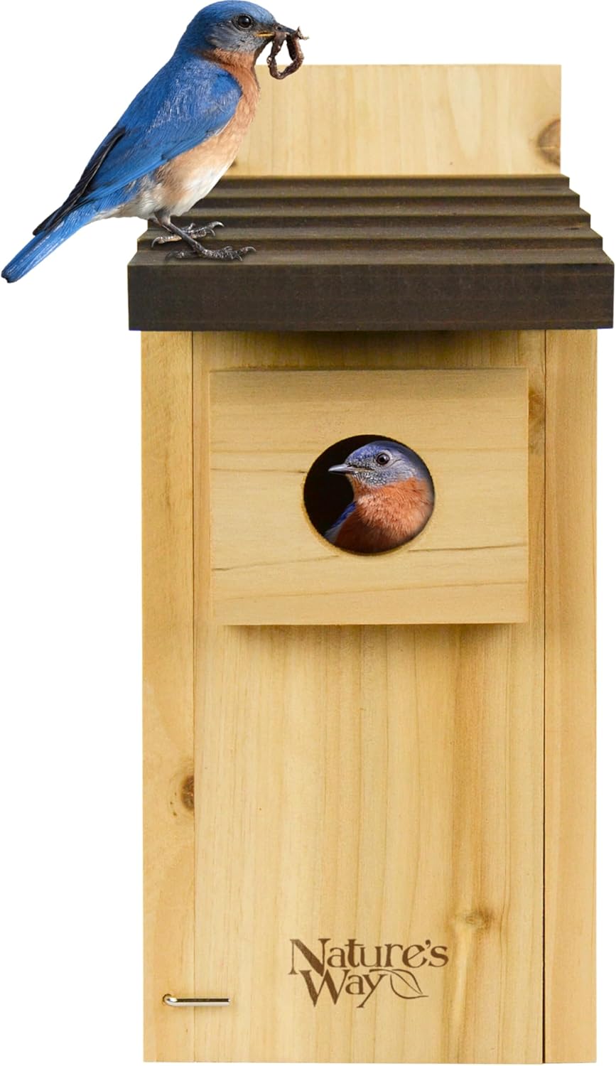 Nature’s Way Cedar Bluebird & Cavity Nesting House, Predator Guard, Ventilated Design & Easy Access Clean-Out Panel, Natural Wood
