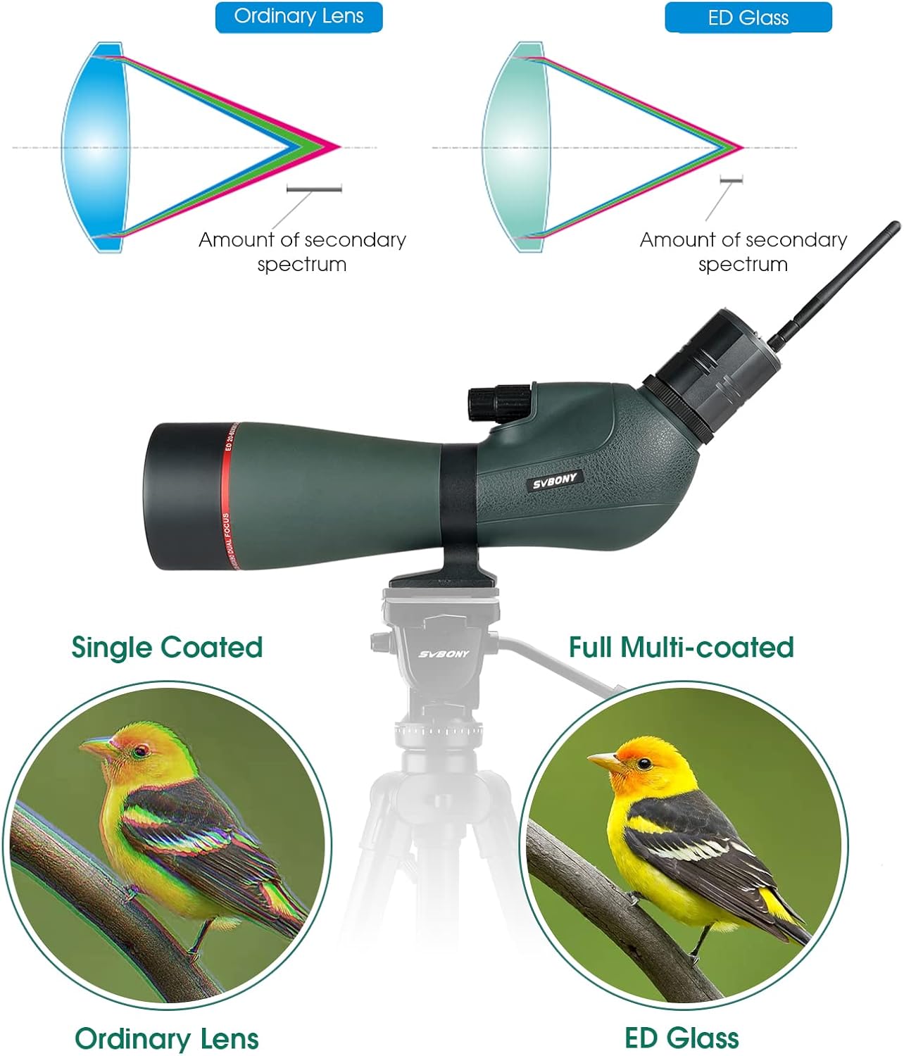 SVBONY SV406P 20-60x80 ED Spotting Scope, with Electronic Camera, ED Focal Lens True Color Representation, IPX7 Waterproof Digiscoping, Ultra High Definition Optics Scope for Bird Watching Wildlife