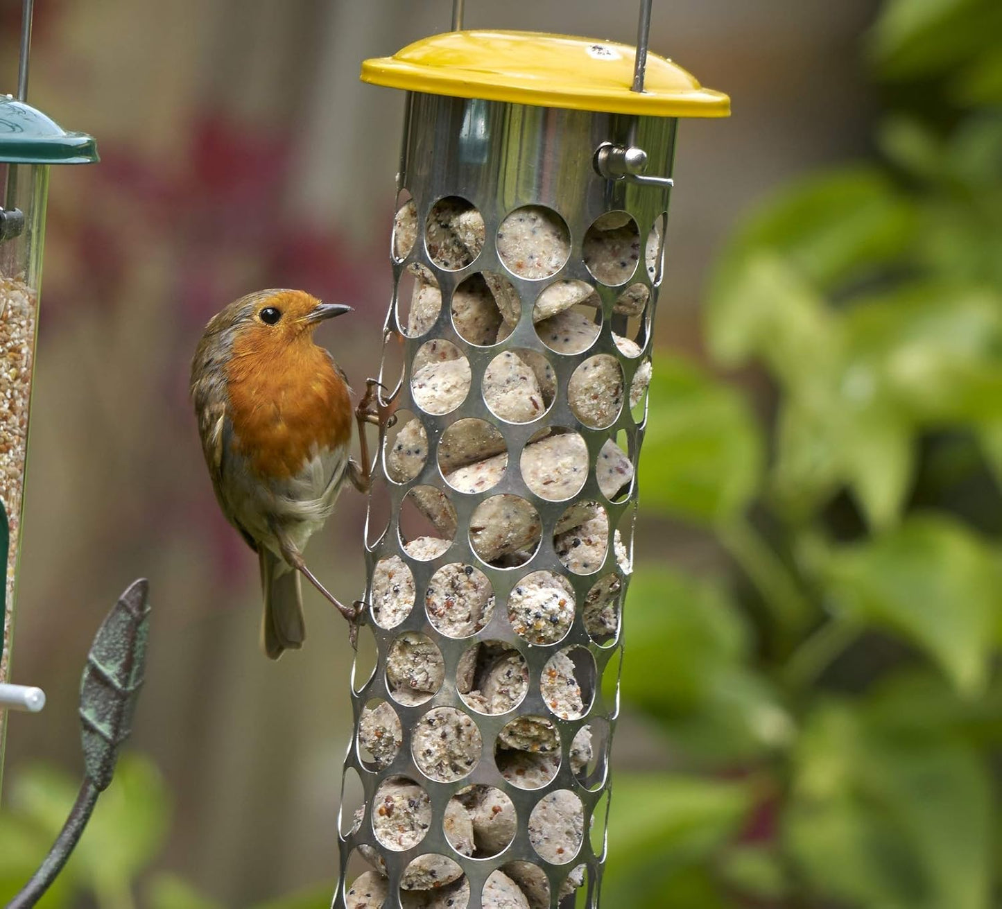Peckish Daily Goodness Nugget Bird Feeder