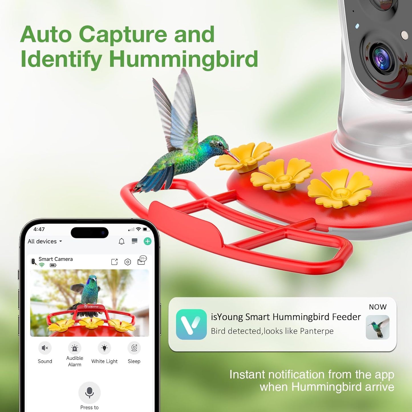 Hummingbird Feeder with Camera: Auto Capture & AI Bird ID, Wide Mouth 