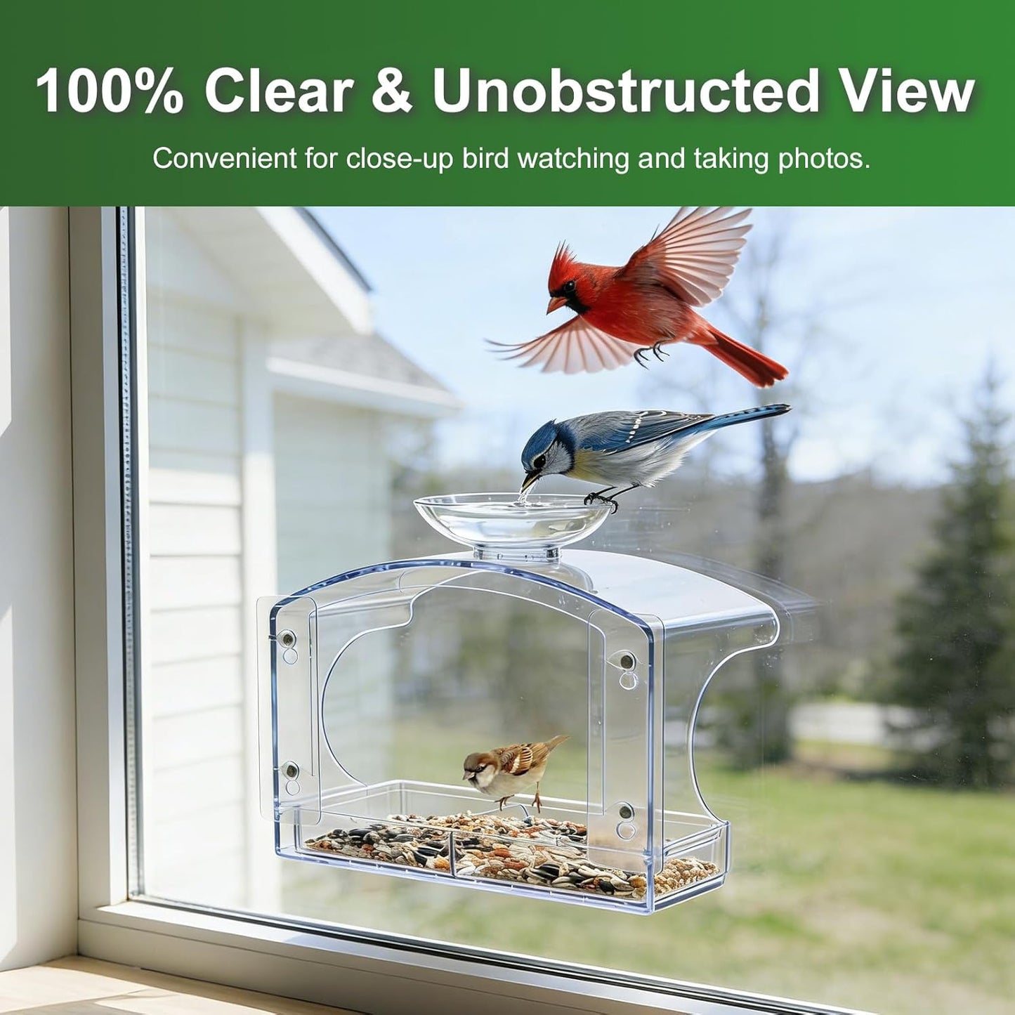 Large Window Bird Feeders Outside with 2 Non-Marking Self-Adhesive Hooks - Wild Bird Watching Outdoor Transparent - Unique Gifts for Garden Yard Elderly Viewing(with a Brush, Easy to Clean)