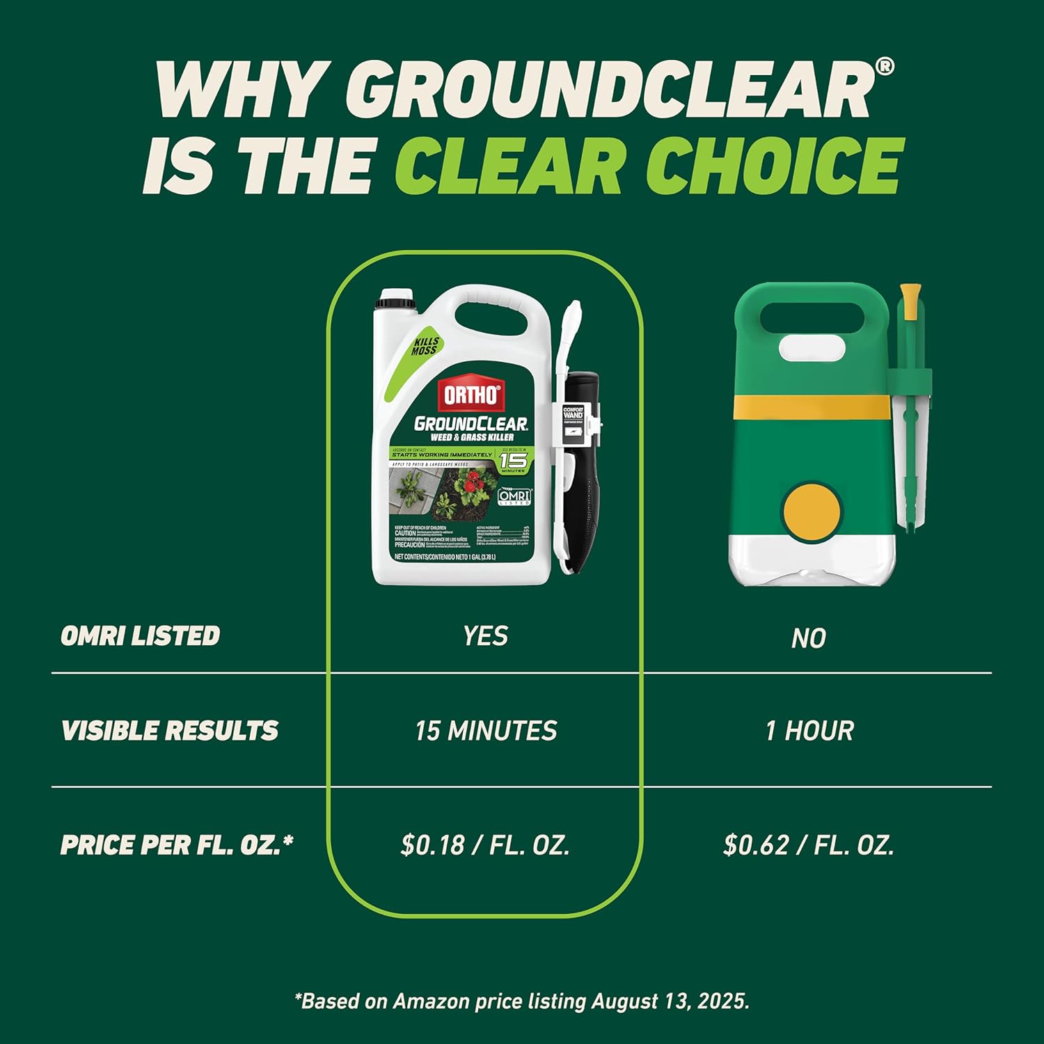 Ortho GroundClear Weed & Grass Killer with Comfort Wand - Kills Dandel