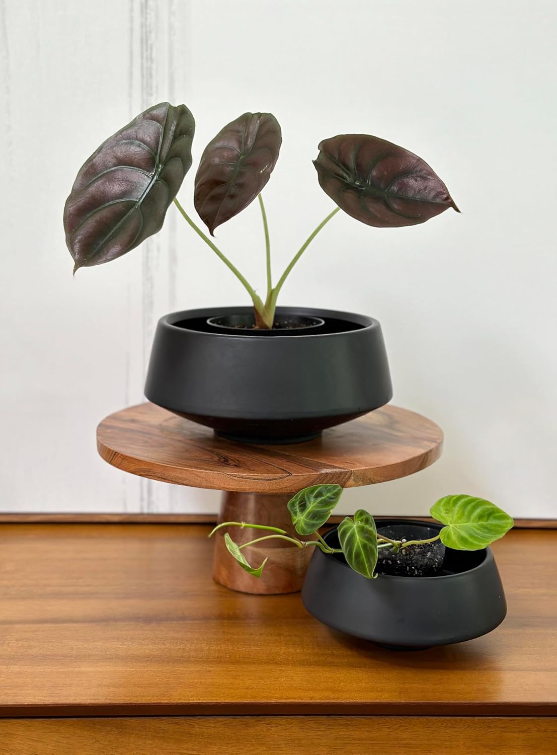 Admired by Nature Set of 6.5" & 9.5" Ceramic Flower Planters, Decorative Pot for Indoor Succulent Home Décor, Black
