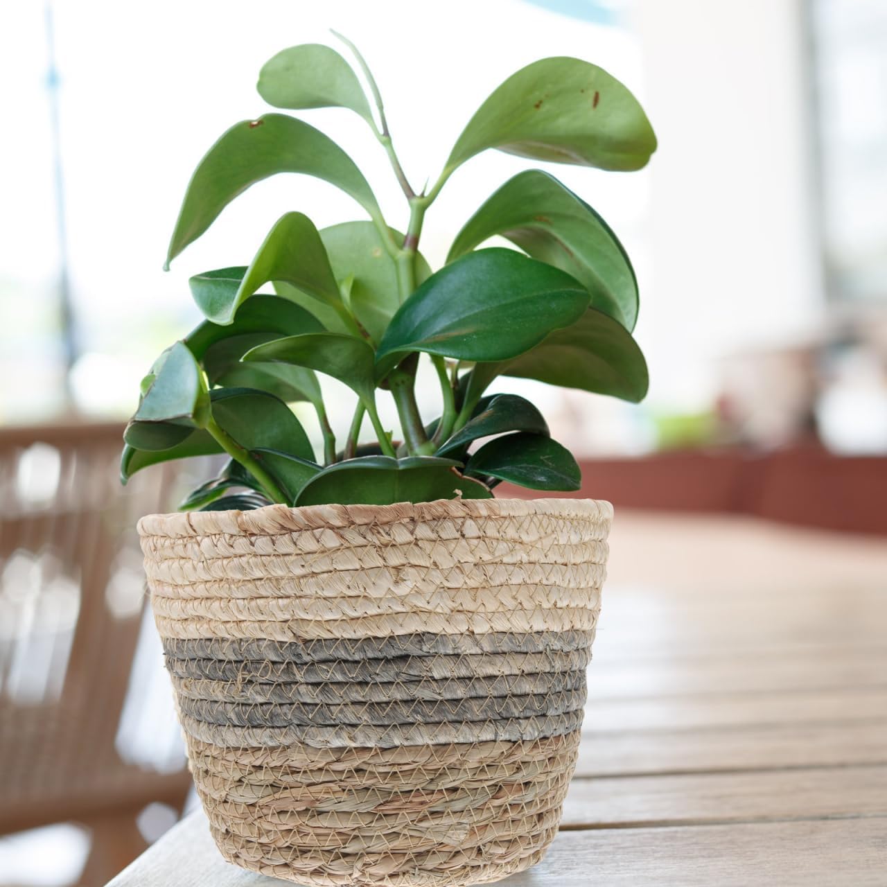 2PCS Plant Baskets Indoor with Liner Rattan Pots Planter Baskets Seagrass Indoor Planter Wicker Planters for and Outdoor Plants