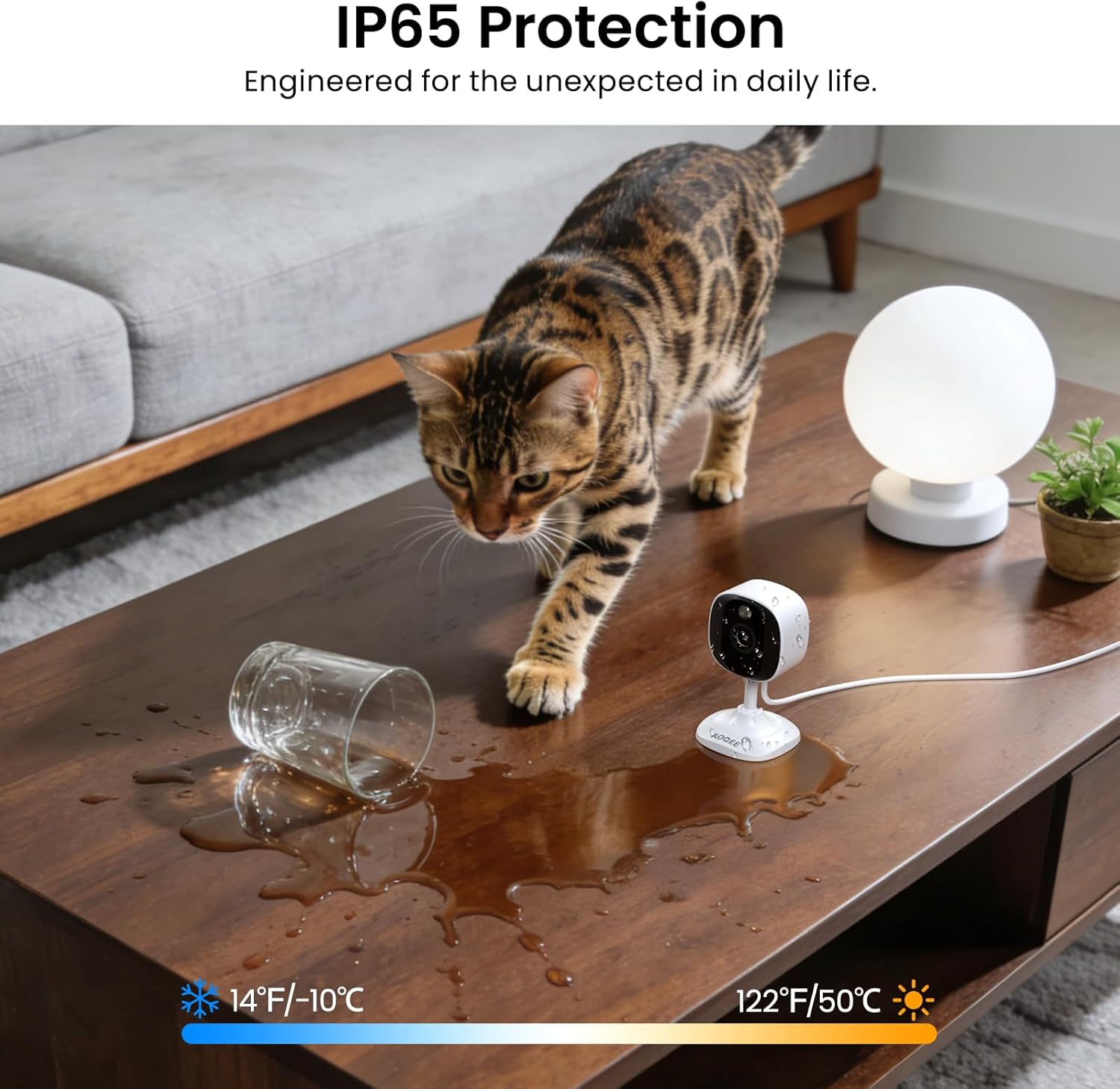 2K Cameras for Home Security-Outdoor/Indoor Camera for Dog/Cat/Pet/Nan
