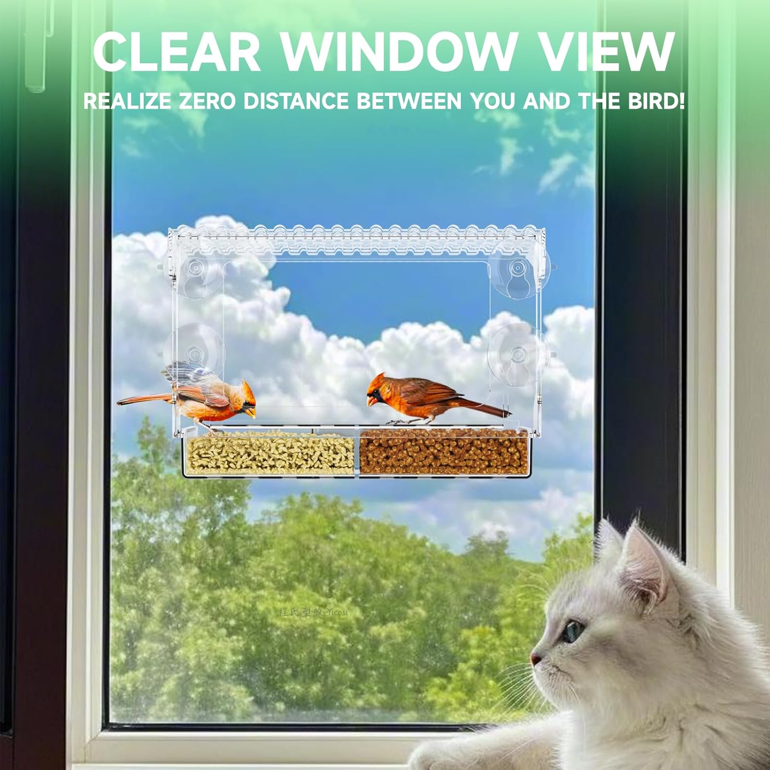 Window Bird Feeders With Strong Suction Cups for Cats,Kids,Acrylic Bir