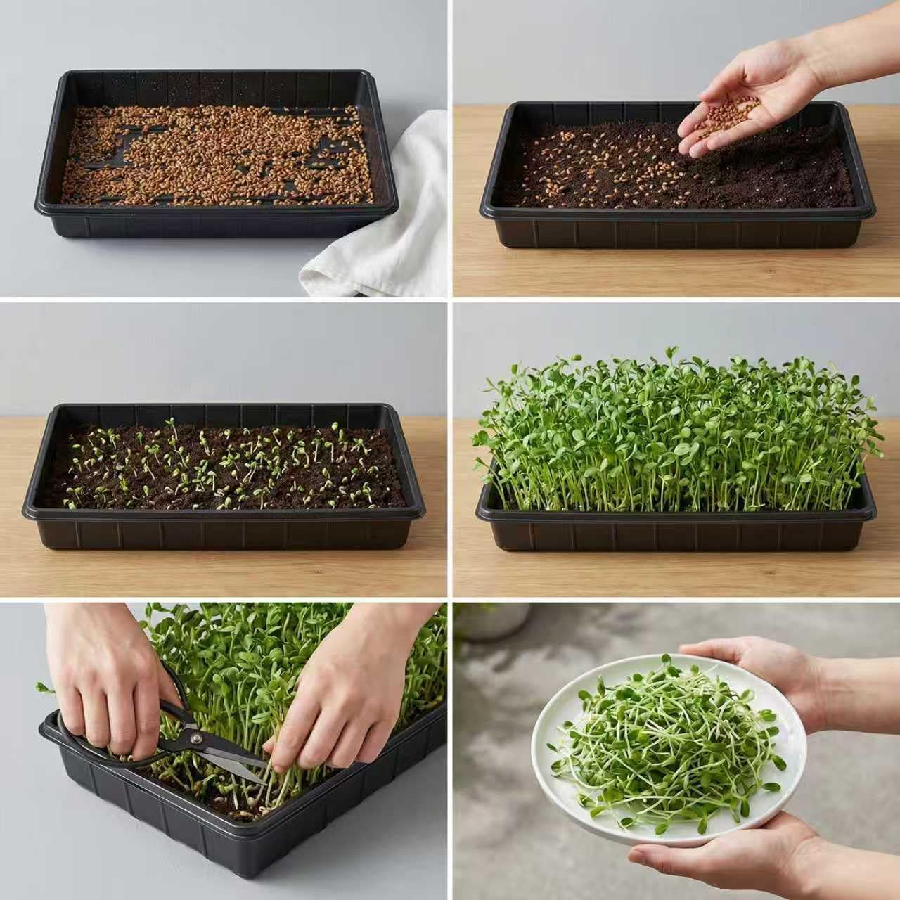10 Plant Growing Trays,Plant Tray, Seed Tray, Seedling Tray, Propagati