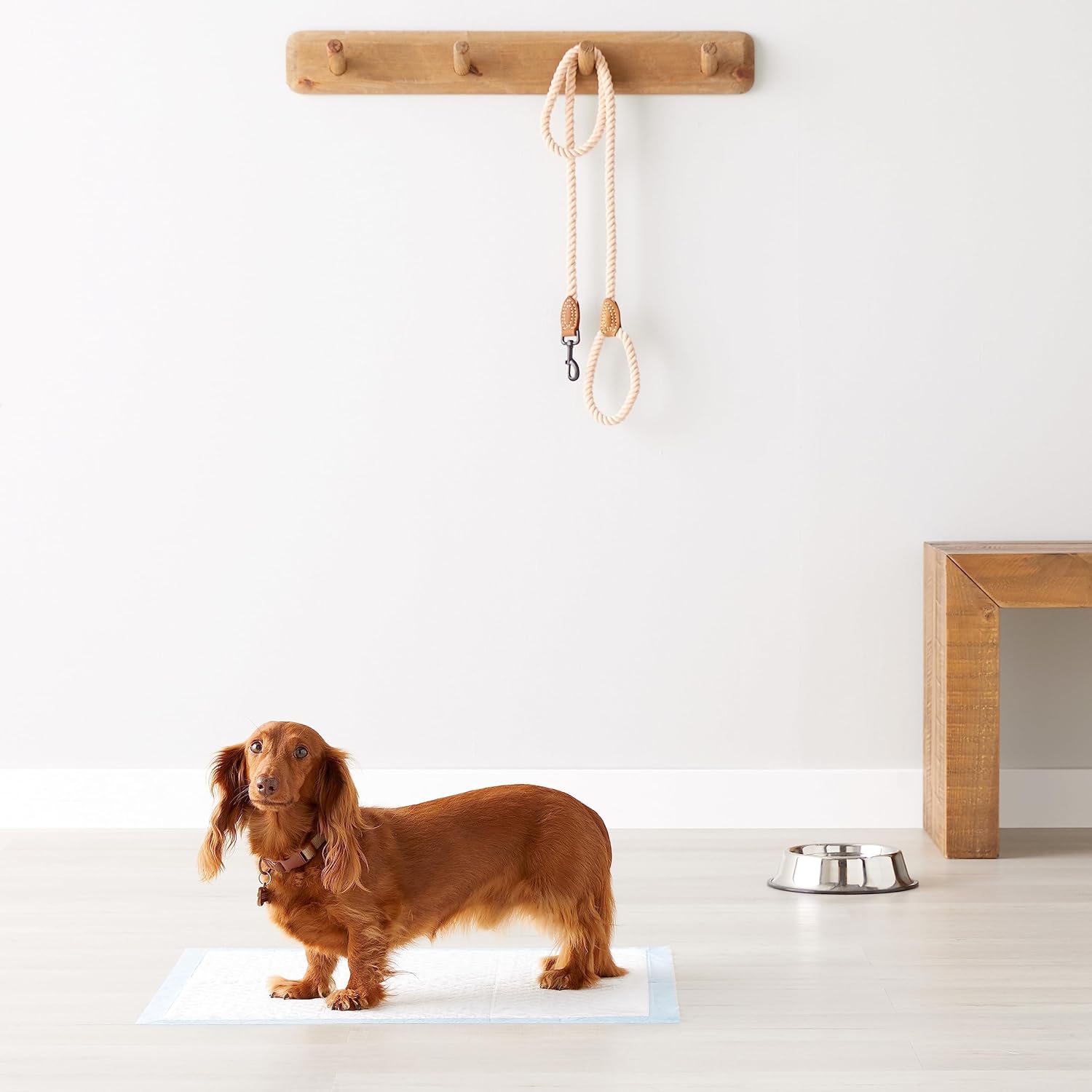 Amazon Basics Heavy Duty Dog and Puppy Pee Pads, Leak-Proof 5-Layer Su