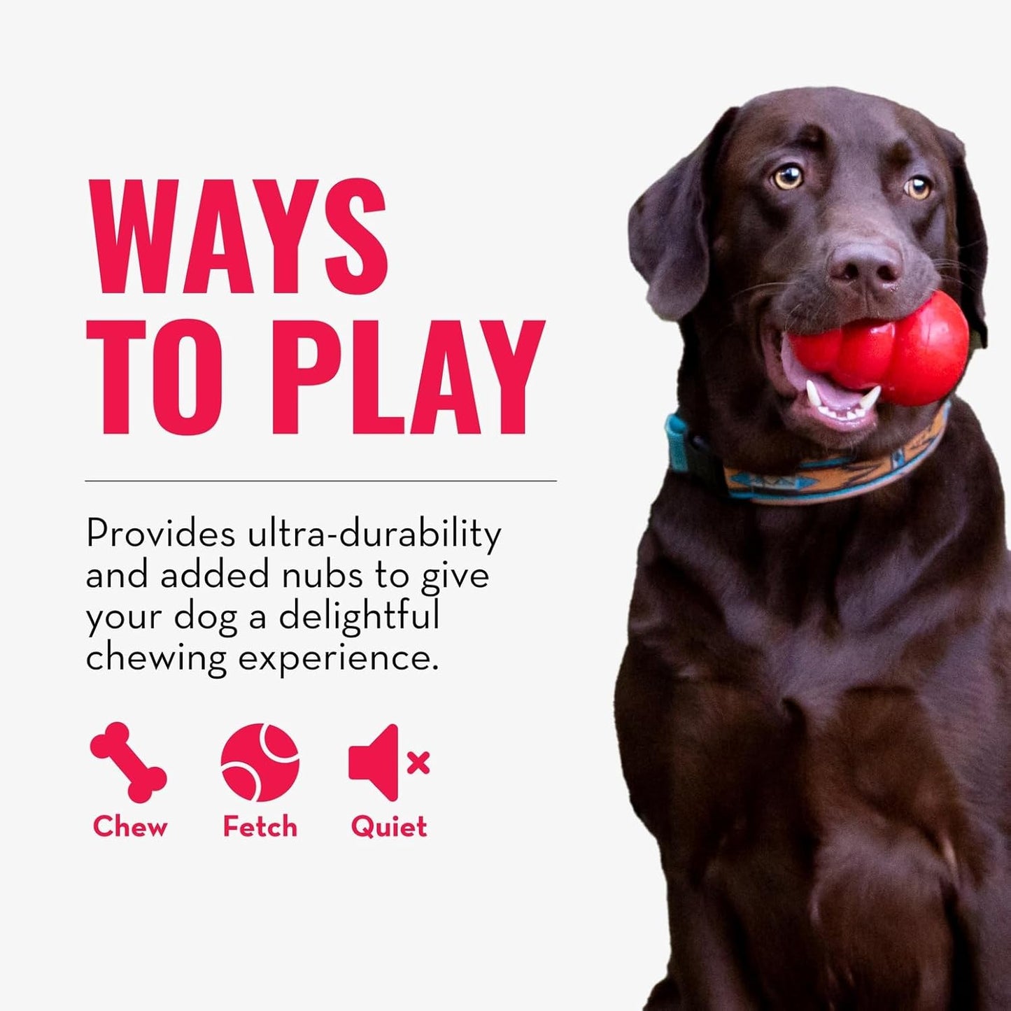 KONG Ring - Natural Rubber Ring Toy for Healthy Chewing Habits - Chew 