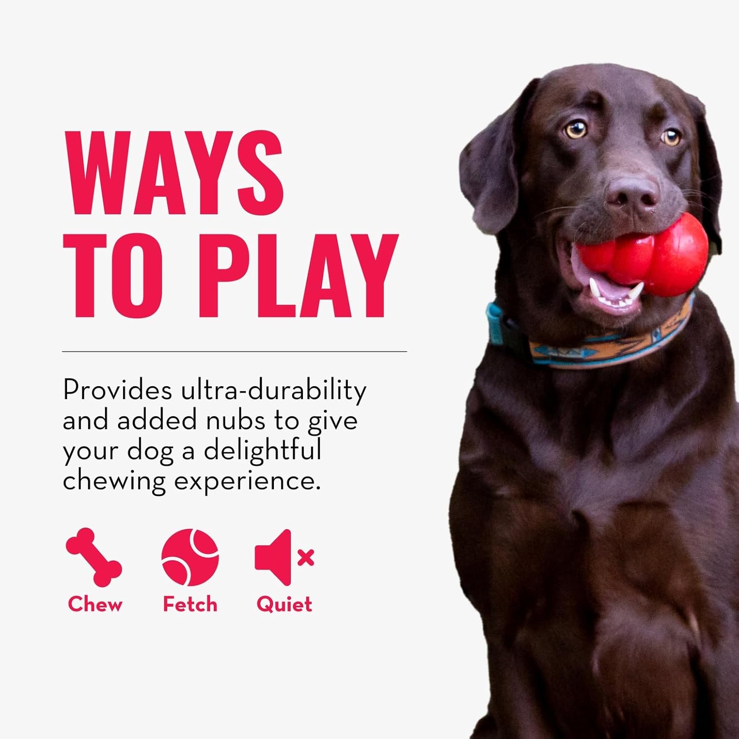 KONG Ring - Natural Rubber Ring Toy for Healthy Chewing Habits - Chew 