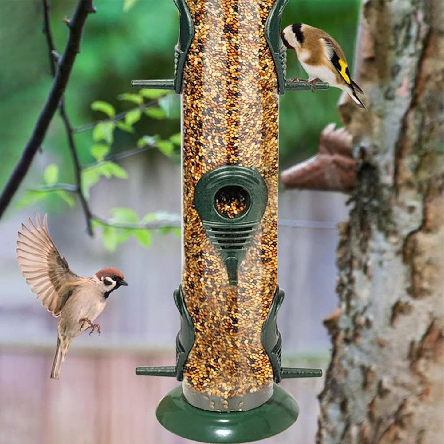 Bird Feeders Outdoors - Tube Small Clear Squirrel Proof Feeding Supplies, Bird Feeders for Patio Garden Viewing, Easy to Use & Fill Function Words, Outdoor Feeding Use