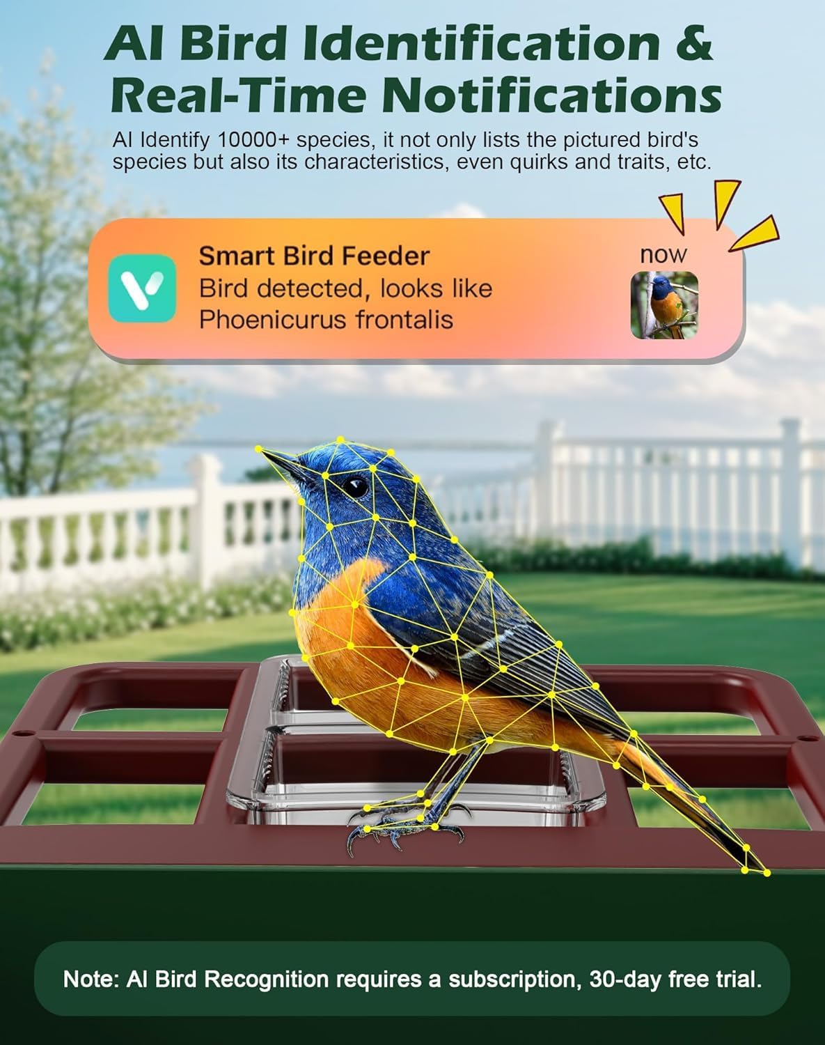 Smart Bird Feeder with Camera Solar Powered, 5MP 2.5K HD Live Video Bi