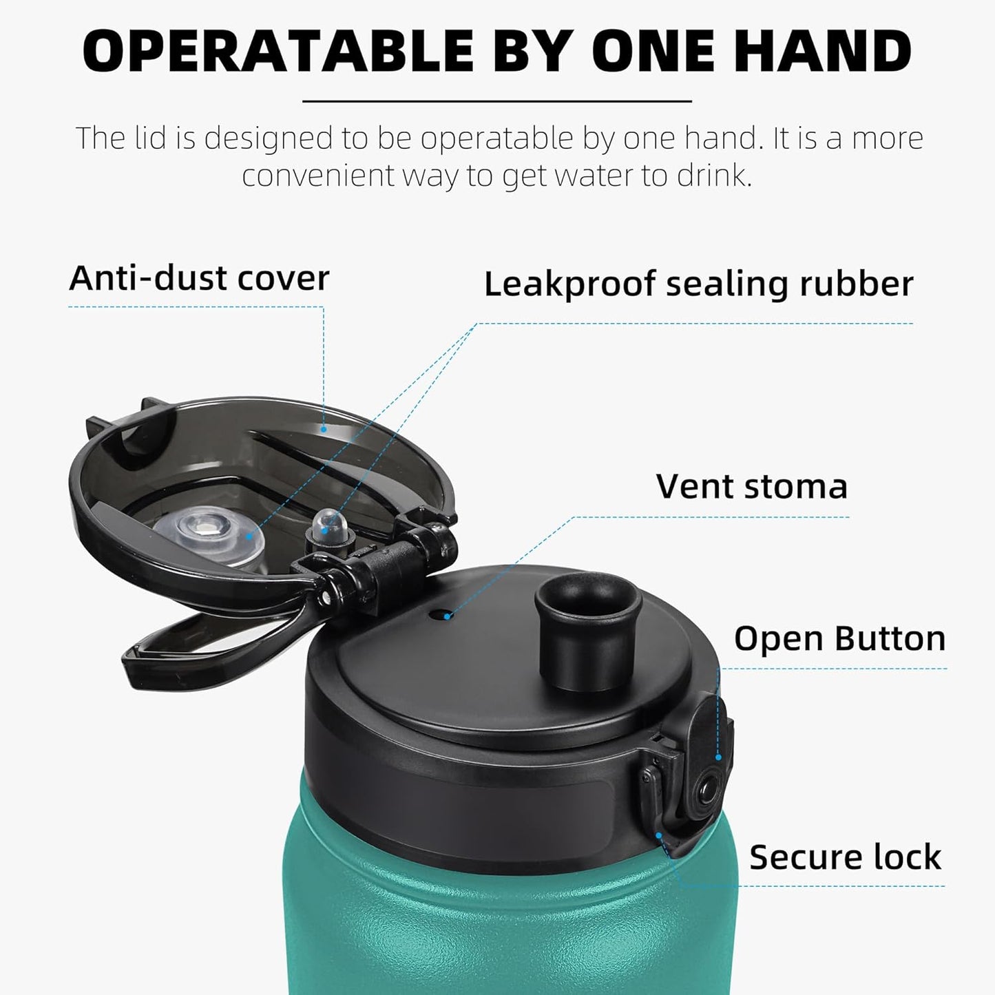 Fanhaw 20 oz Insulated Stainless Steel Water Bottle with Anti-Dust Chu
