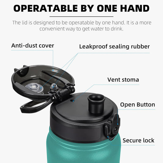 Fanhaw 20 oz Insulated Stainless Steel Water Bottle with Anti-Dust Chu