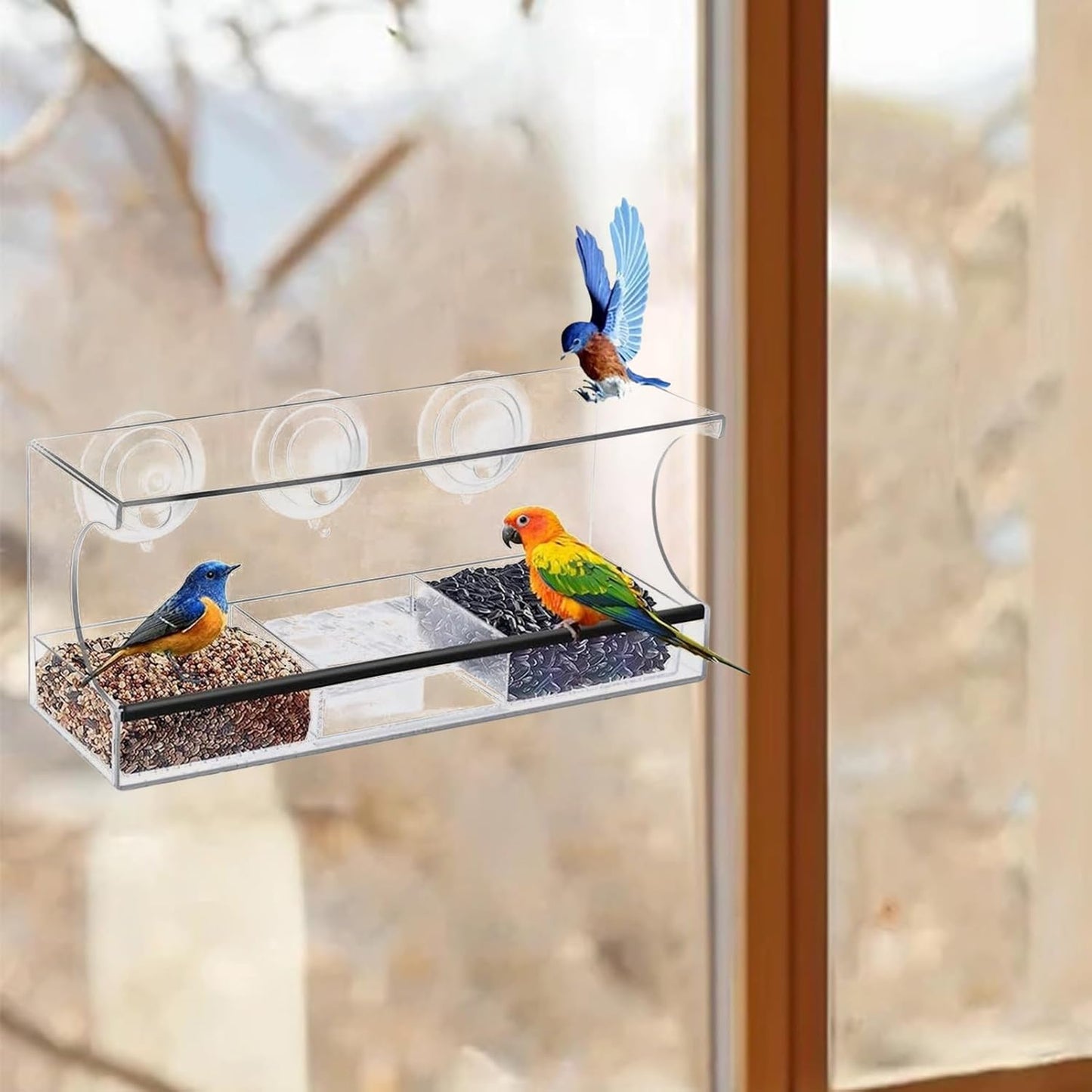 Bird Feeder Suction Cup Window – Spill-Proof Food Box | Acrylic Detachable Clear Window Bird Feeder for Indoor Viewing, Deck, Patio, Balcony, Kids' Observation, Garden, Home, Birds