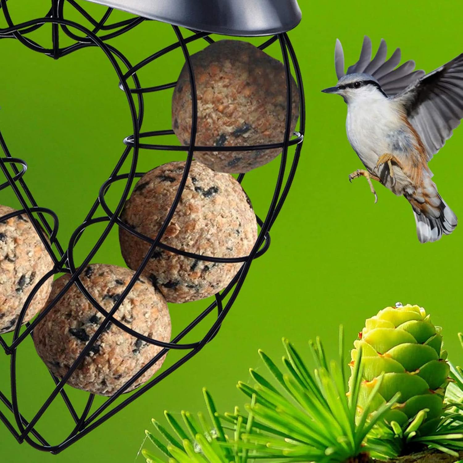 Birds Food Dispenser with Roof for Wild Canaries- Finches Suet Basket 