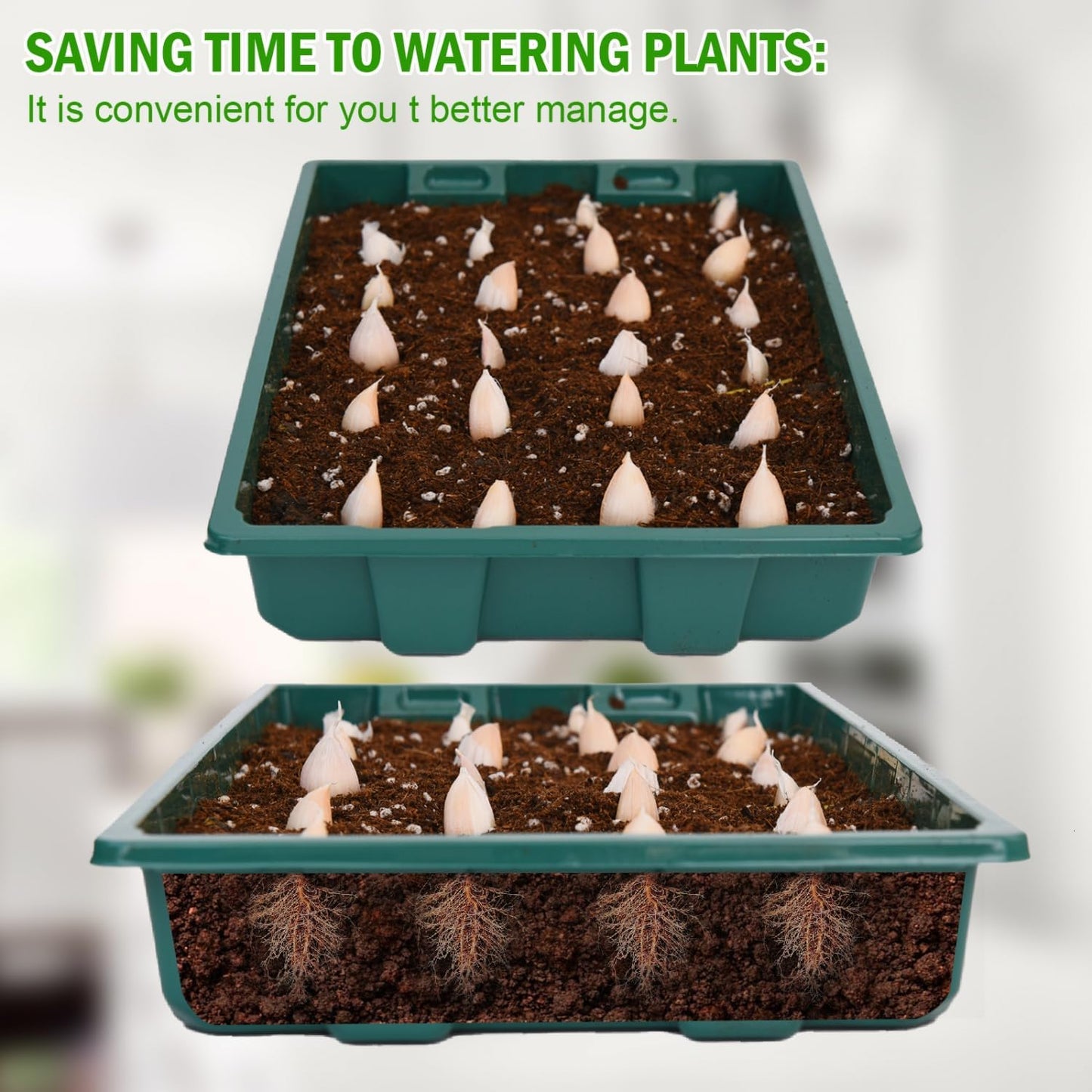 YoleShy 10 Pack Seed Starter Tray Reusable Plastic Plant Seedling Star