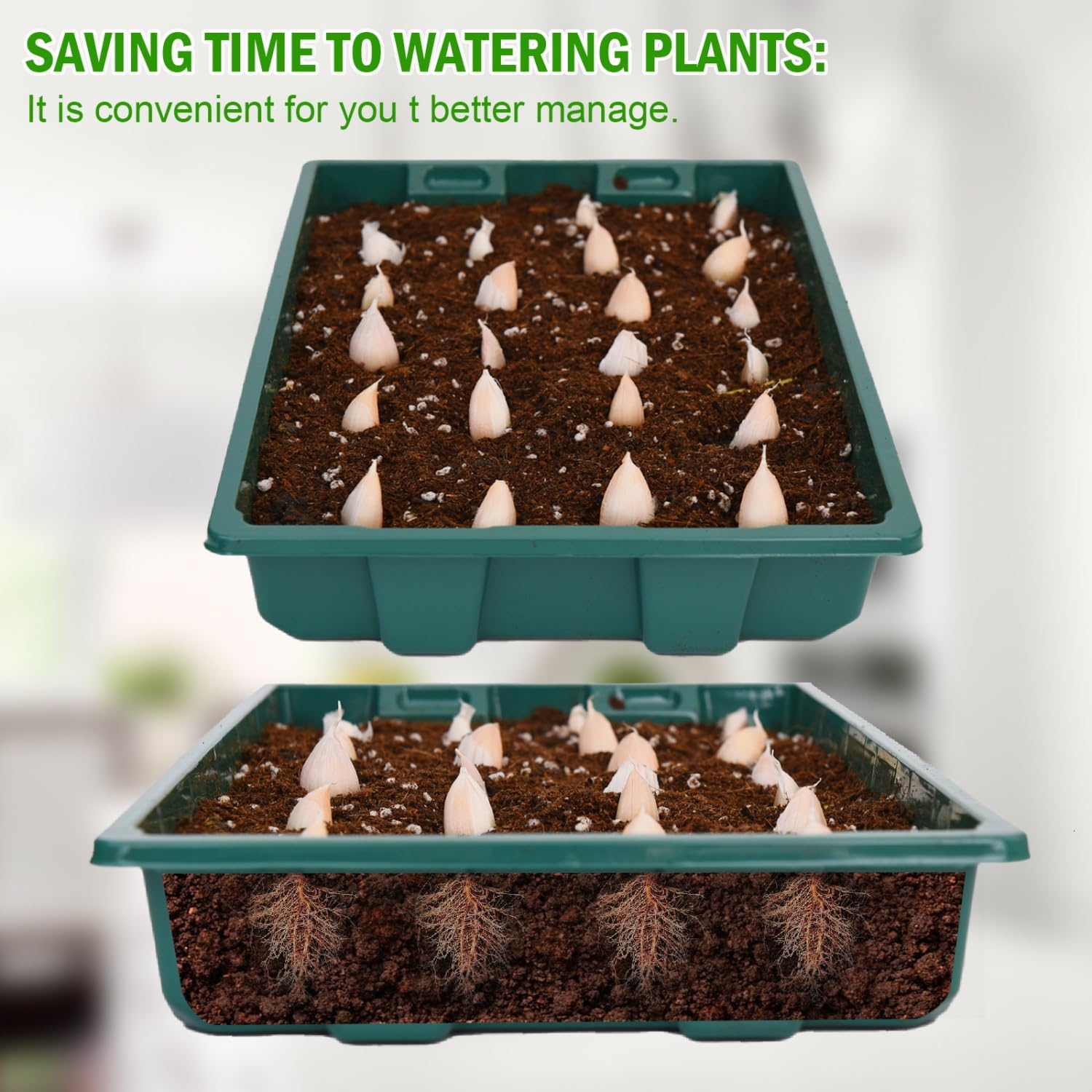 YoleShy 10 Pack Seed Starter Tray Reusable Plastic Plant Seedling Star