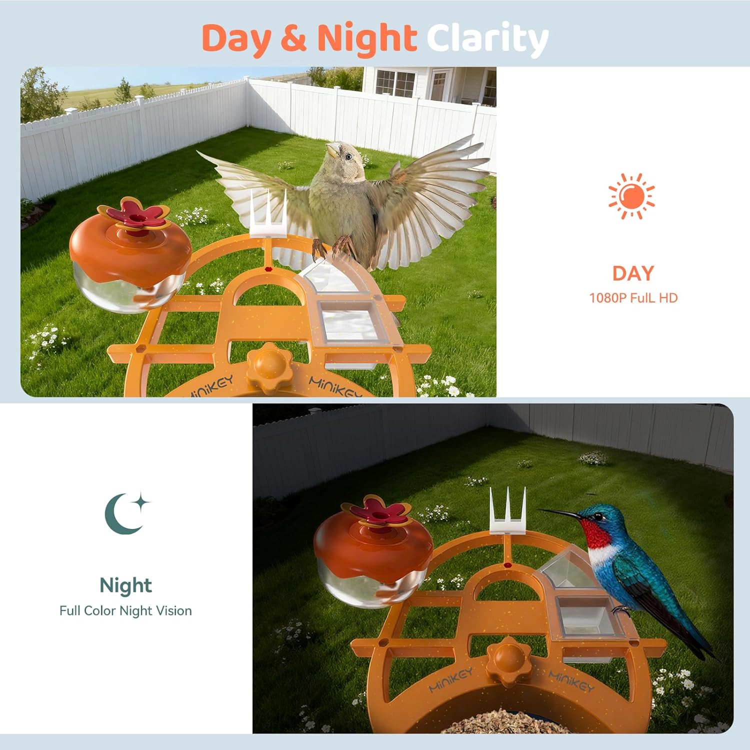 Smart Bird Feeder with Camera Outdoor Birdhouse:AI Identifies 11000+ S