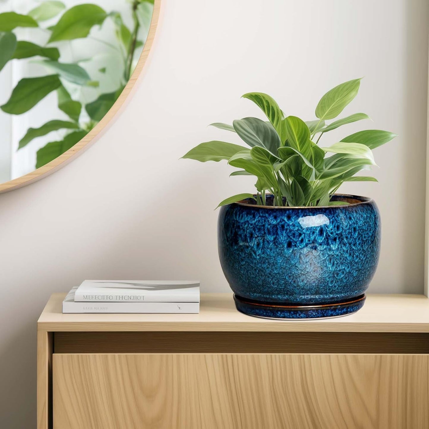 SQOWL 10 Inch Plant Pot - Ceramic Planter Pot with Drainage Hole and S