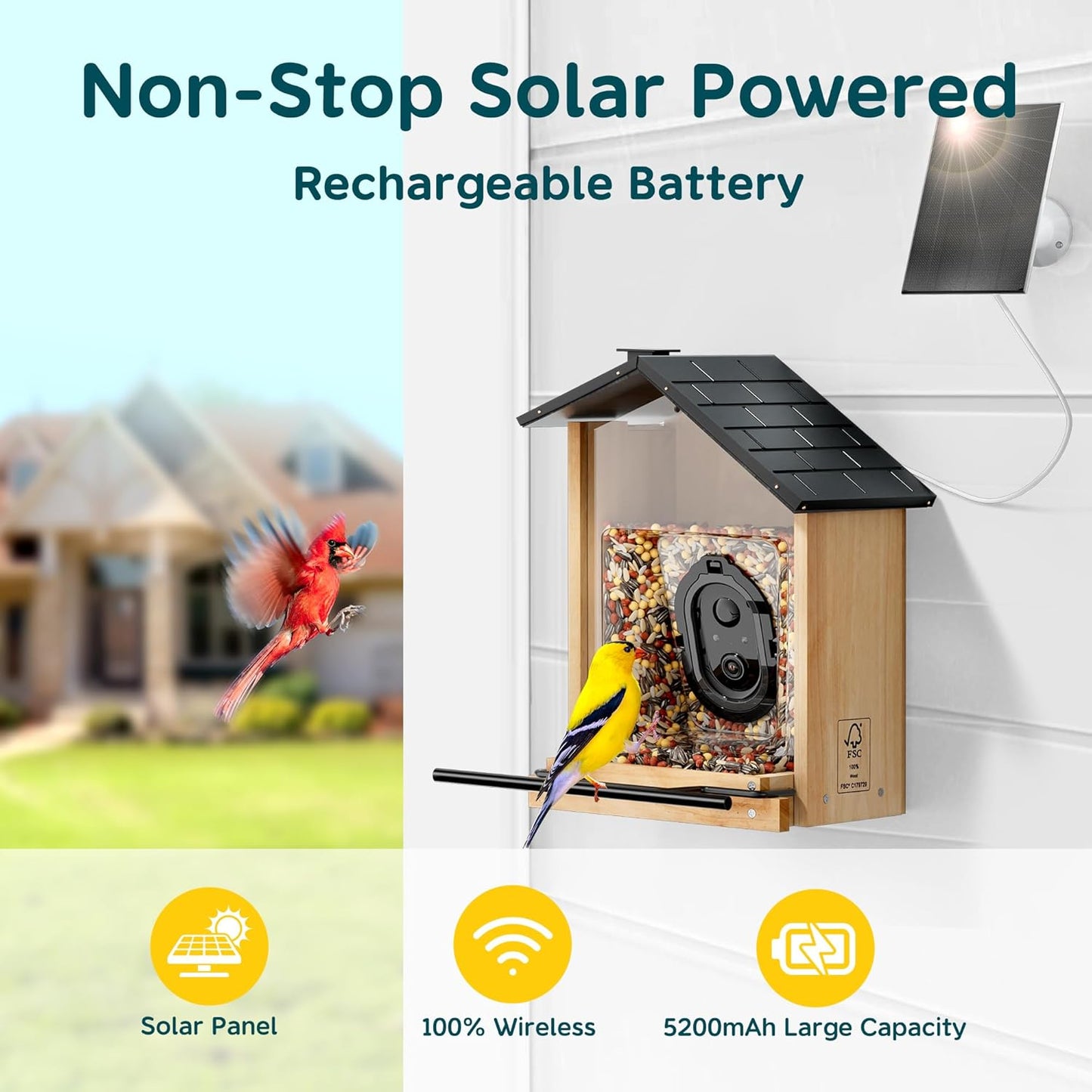 Solar Powered Bird Feeder Camera, 3L Capacity Smart Feeder for AI Identify Over 10000 Species, Cloud Storage, Auto Capture & Instant Arrival Alerts, Ideal Bird Lovers Gifts