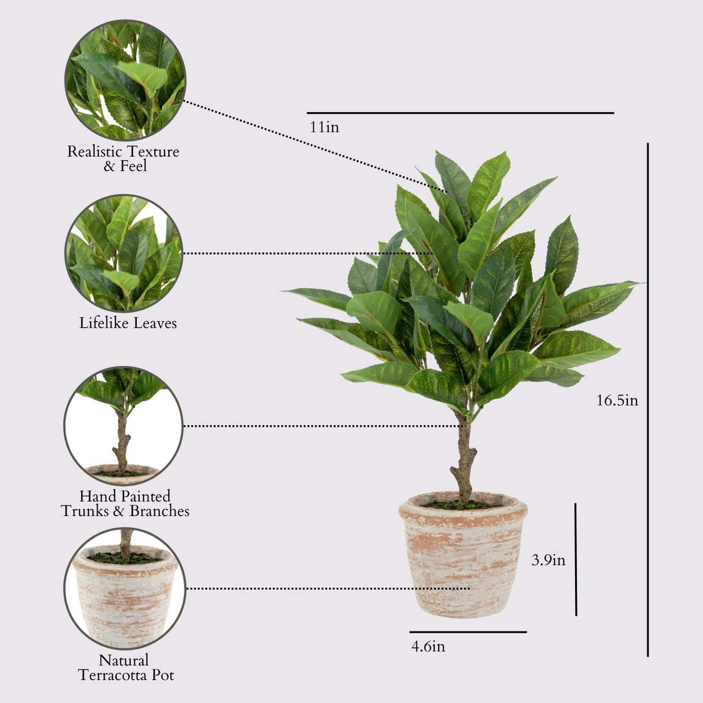 CG Hunter Faux Eucalyptus & Citrus Topiary, Set-of-2 Premium Artificial Indoor Plants, Enhances Interior Design, Lifelike-Leaves Create Realistic Natural Appearance, Terracotta Planter Pot Included