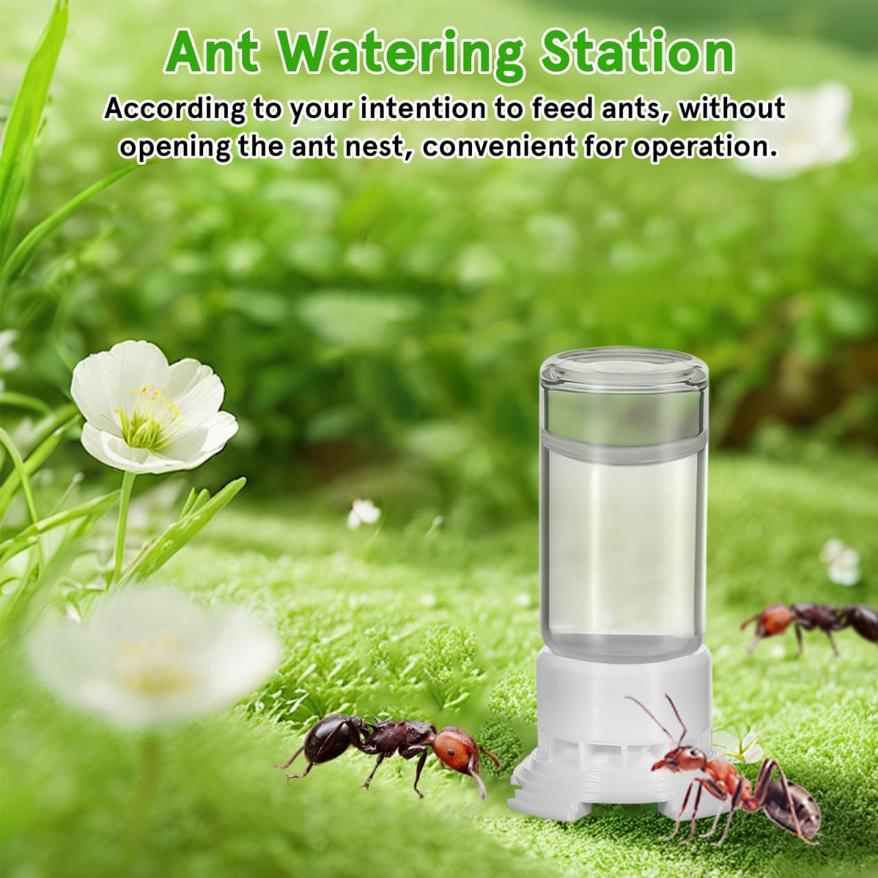 Yardwe Ant Water Feeder Portable 0.17Oz Liquid Feeding Cup for Ant Nest Easy Operation Watering Station for Keeping and Habitat Maintenance