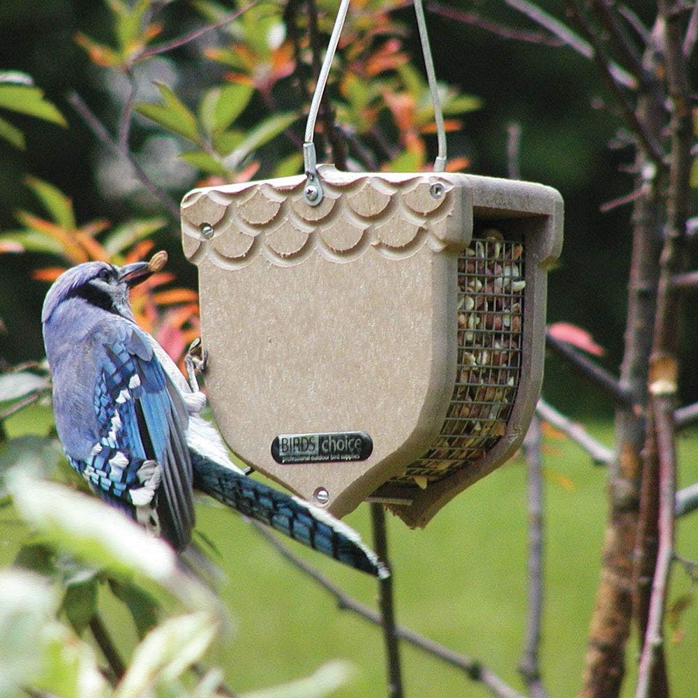 Birds Choice ACORN Peanut Feeder, Acord-Shaped Bird Feeder, 1 Quart, Taupe