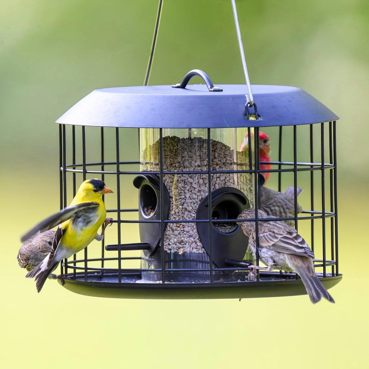 Kingsyard Mesh Caged Bird Feeders for Outdoor Hanging, Tube Squirrel Proof Bird Feeders with Tray for Small Birds Finches Bluebird, Rain Proof Covered, 4 Feeding Ports, Black