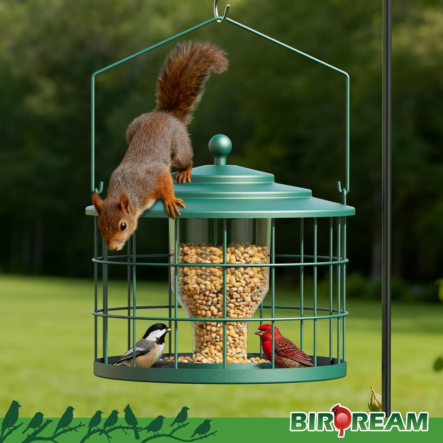 Squirrel Proof Bird Feeder, Metal Cage Bird Feeder for Outdoors Hangin