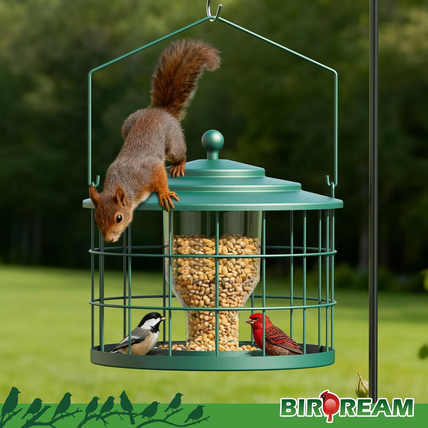 Squirrel Proof Bird Feeder, Metal Cage Bird Feeder for Outdoors Hangin