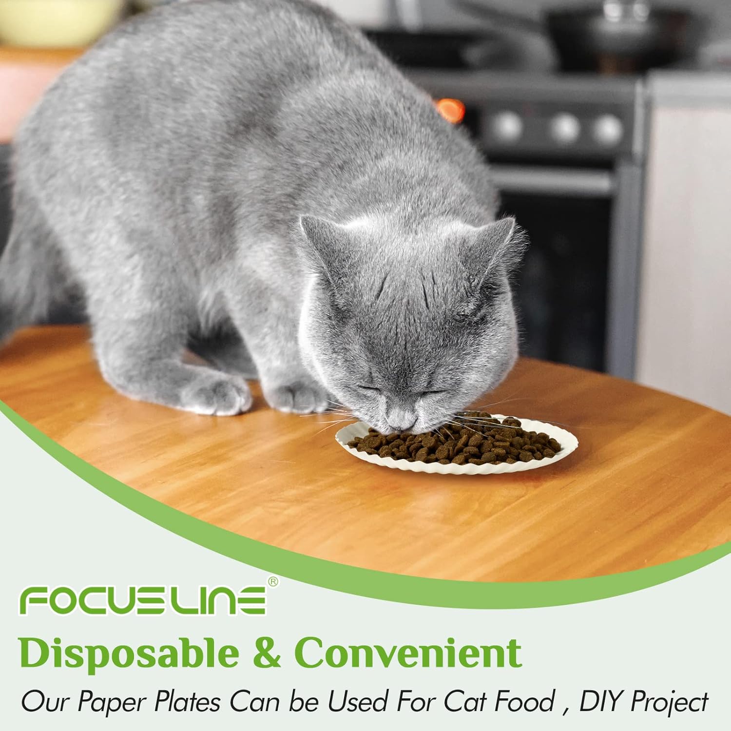 FOCUSLINE 6 Inch Paper Plates 1000 Count, White Paper Plates Uncoated,