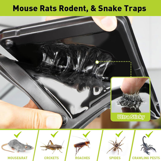 Glue Mouse Traps Indoor for Home, Rat Trap-12 Pack, Large Heavy Duty G