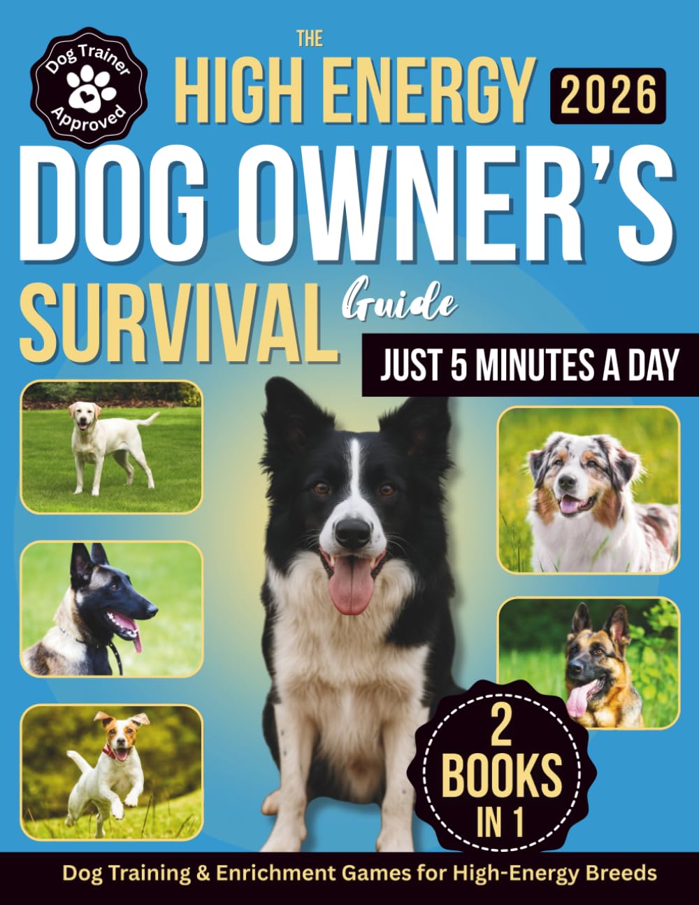 The High-Energy Dog Owner’s Survival Guide: Dog Training & Enrichment 
