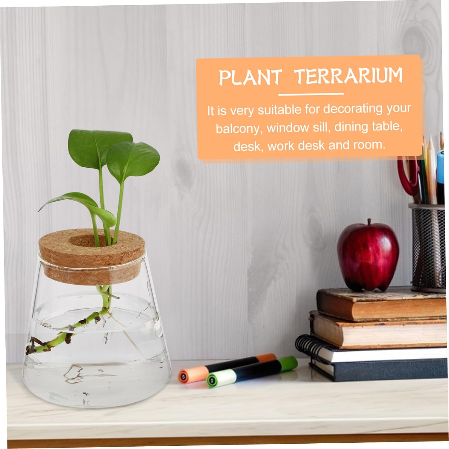 BESTOYARD 8pcs Glass Hydroponics Planter for Desktop Decoration Elegan