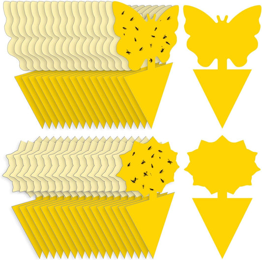 Fruit Fly Traps Fungus Gnat Traps Yellow Sticky Bug Traps 36 Pack No H