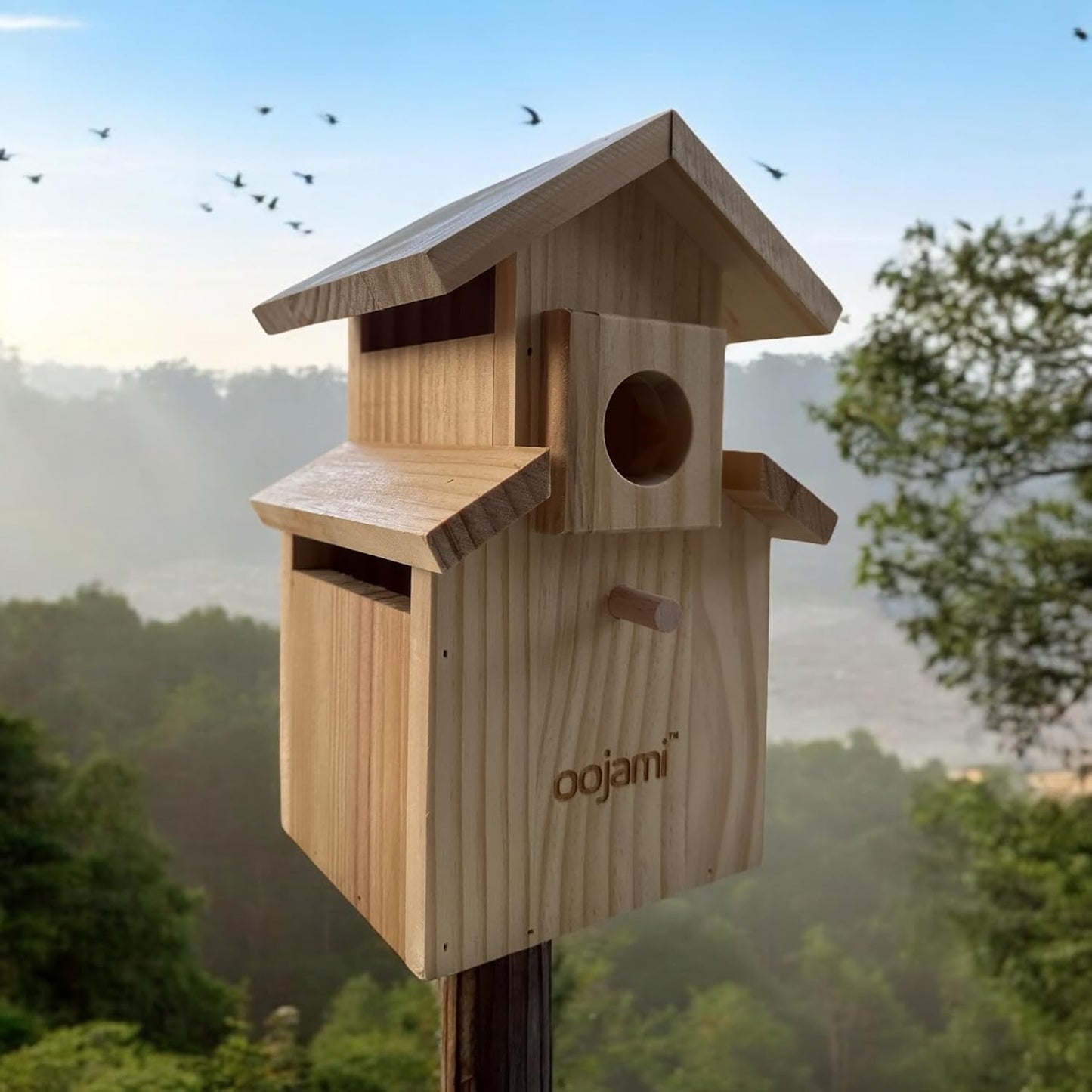 Bird House for Bluebird, Finch, Wren, Chickadee, Tree Swallow, Wild Birds, Woodpecker, Outdoor Nesting Box, Easy-to-Open (Unfinished DIY)